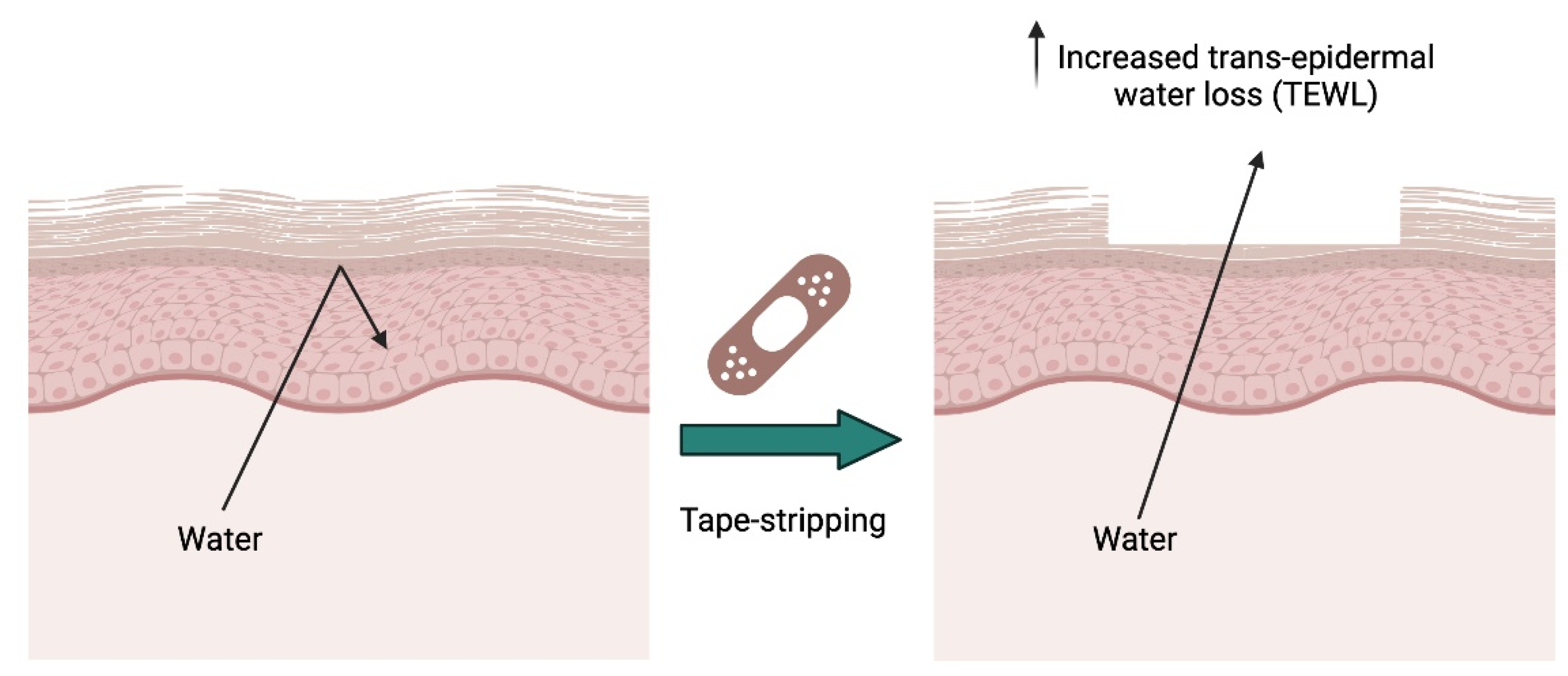 Ijms 25 03790 g006 Ijms 25 03790 g006