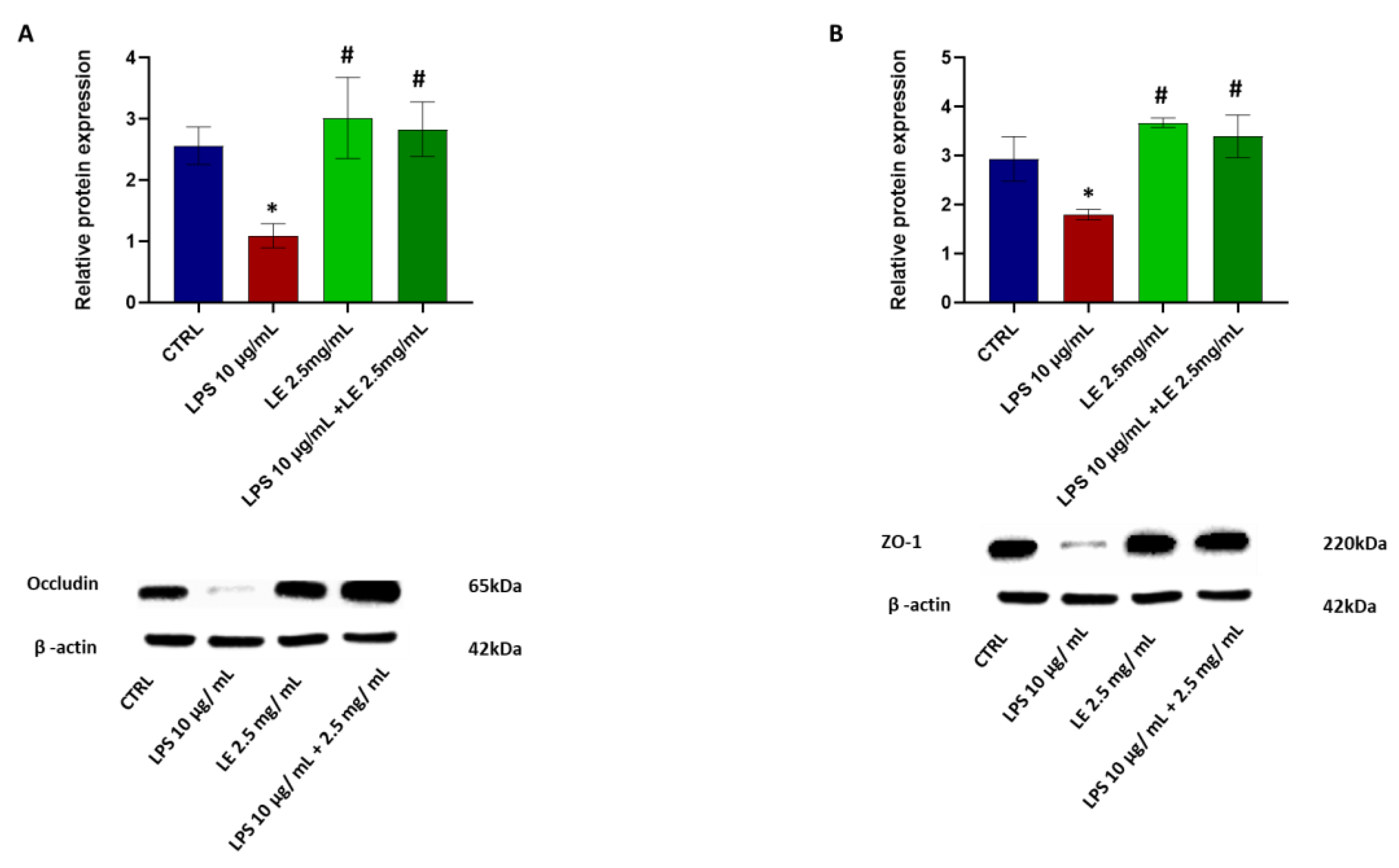 Ijms 25 03802 g004 Ijms 25 03802 g004