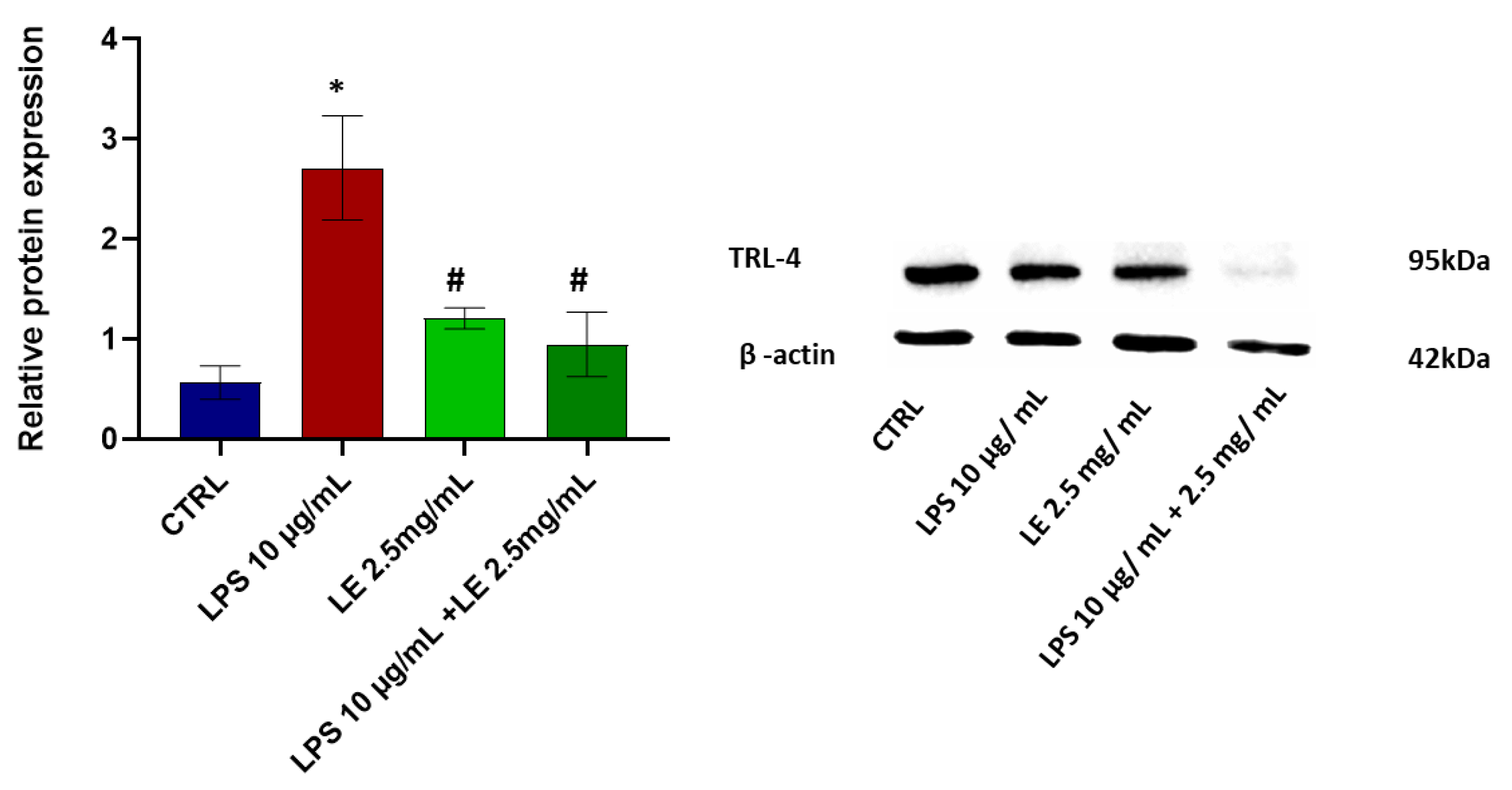 Ijms 25 03802 g006 Ijms 25 03802 g006