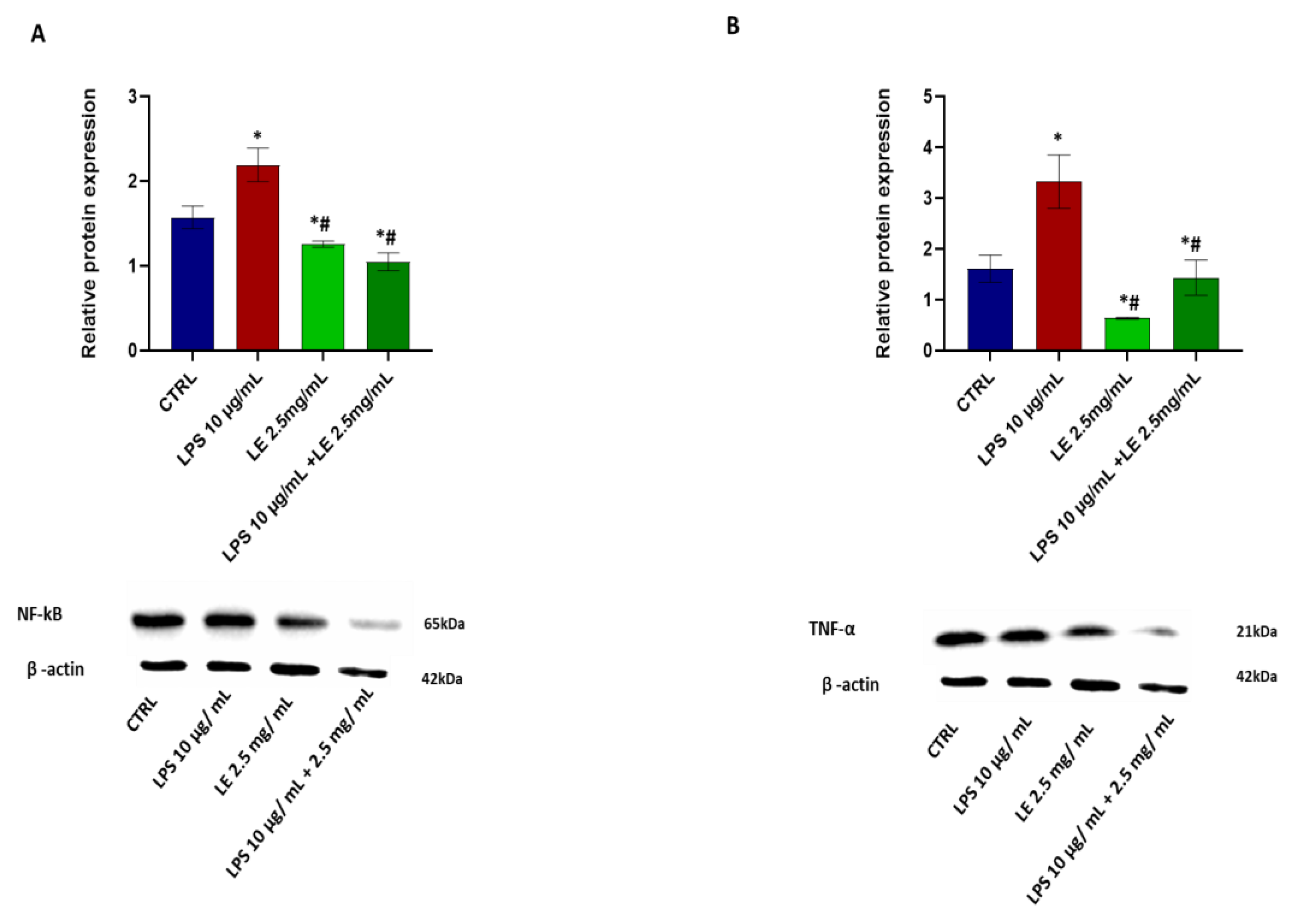 Ijms 25 03802 g007 Ijms 25 03802 g007