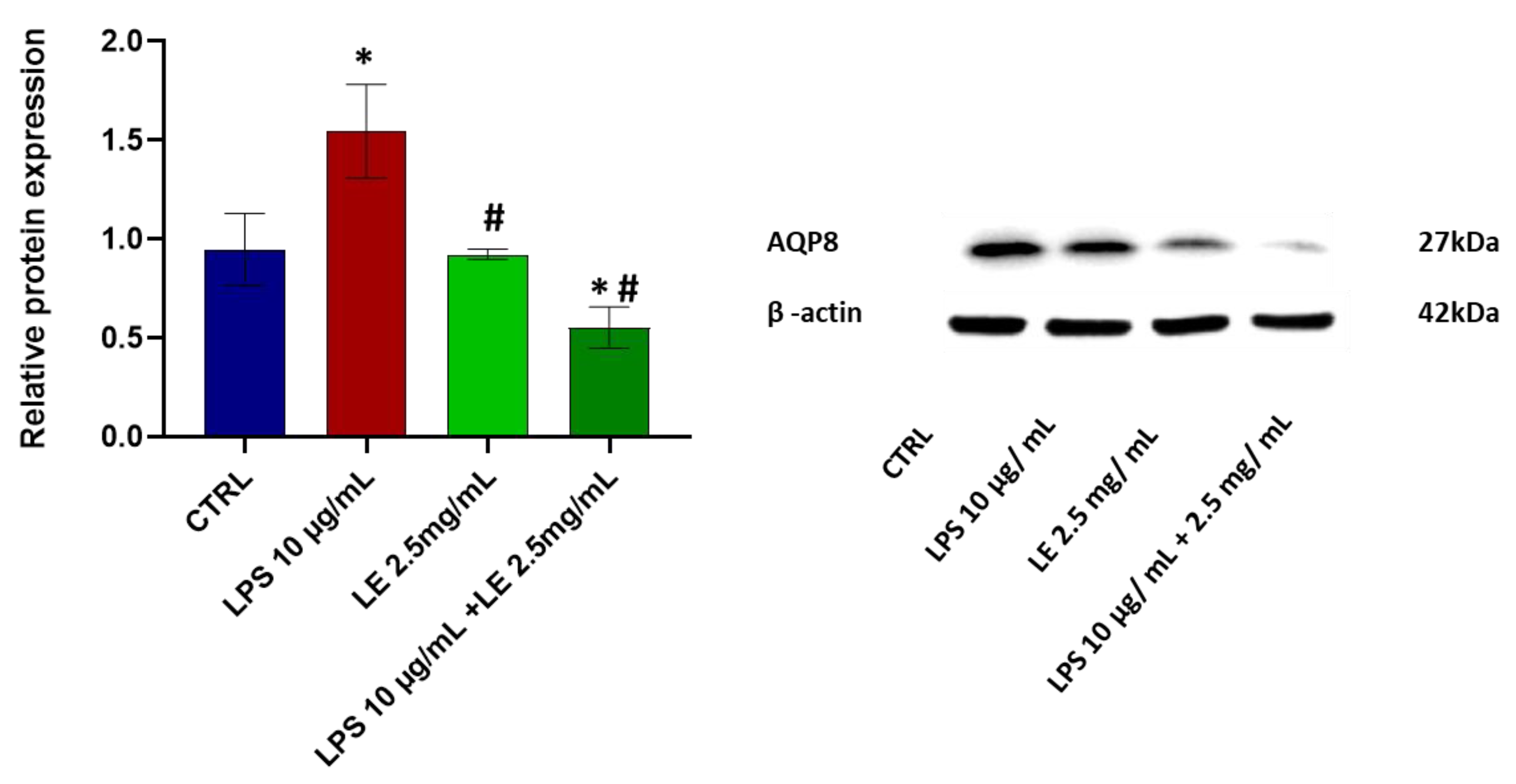 Ijms 25 03802 g009 Ijms 25 03802 g009