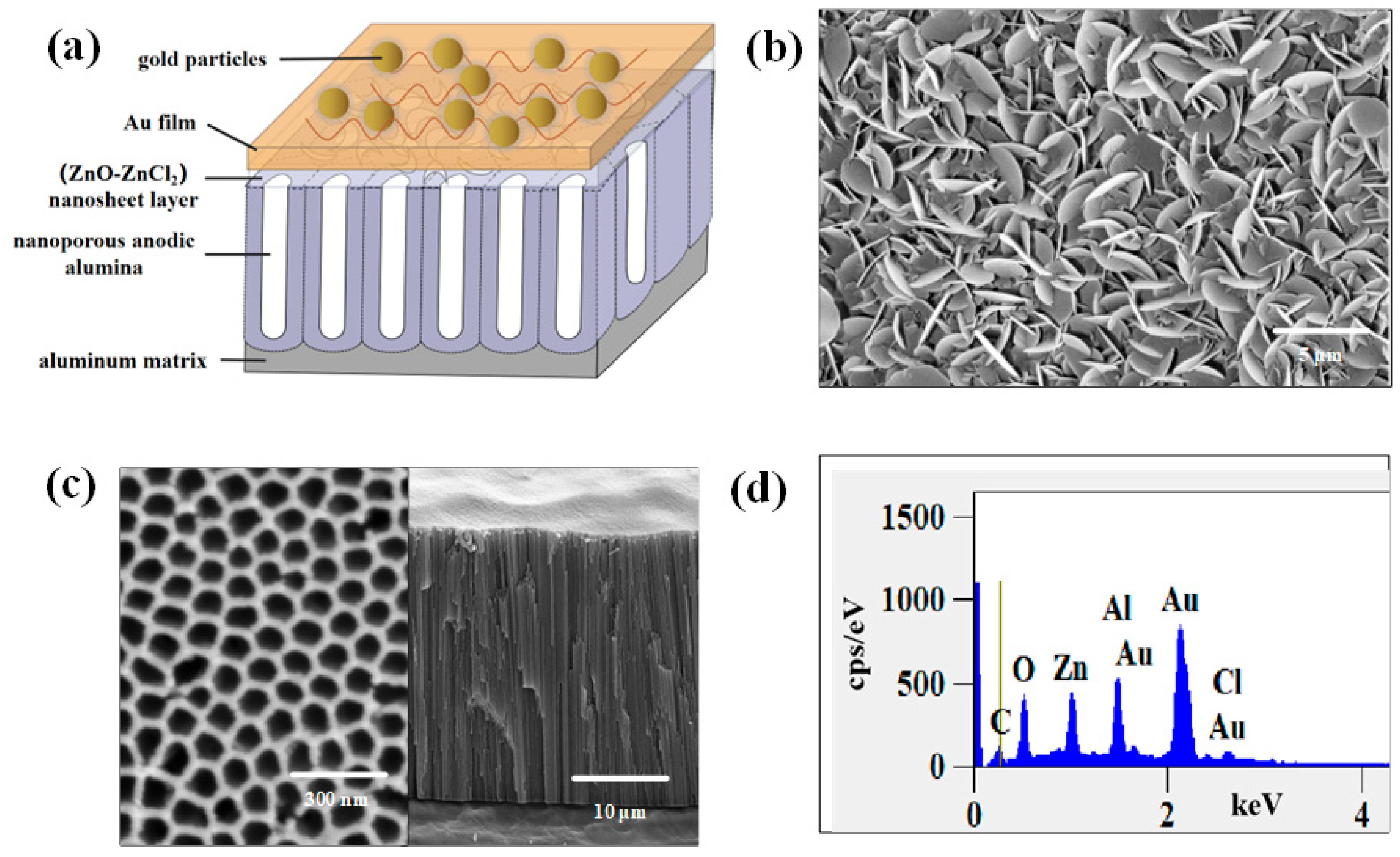 Ijms 25 03804 g001 Ijms 25 03804 g001