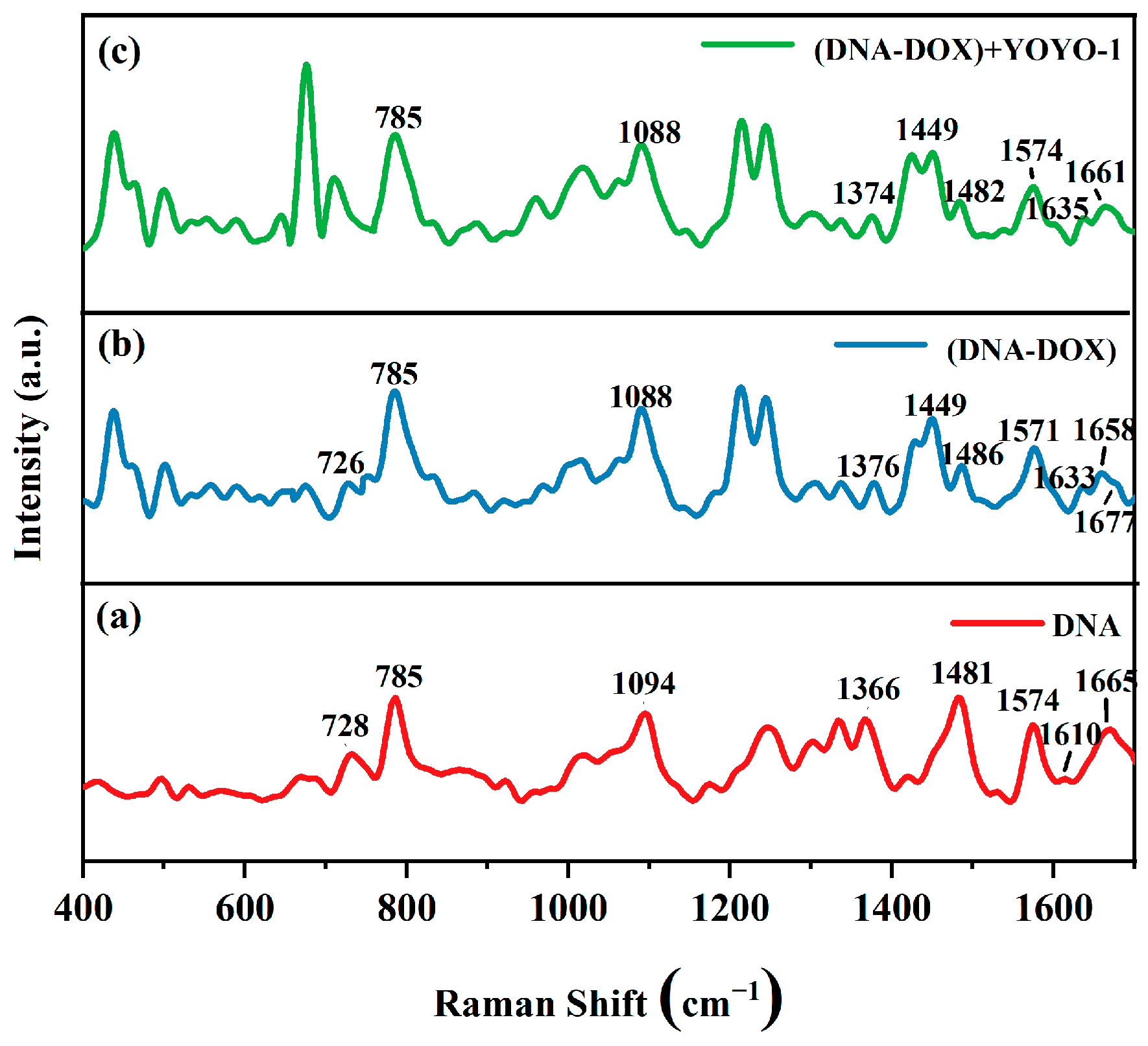 Ijms 25 03804 g005 Ijms 25 03804 g005