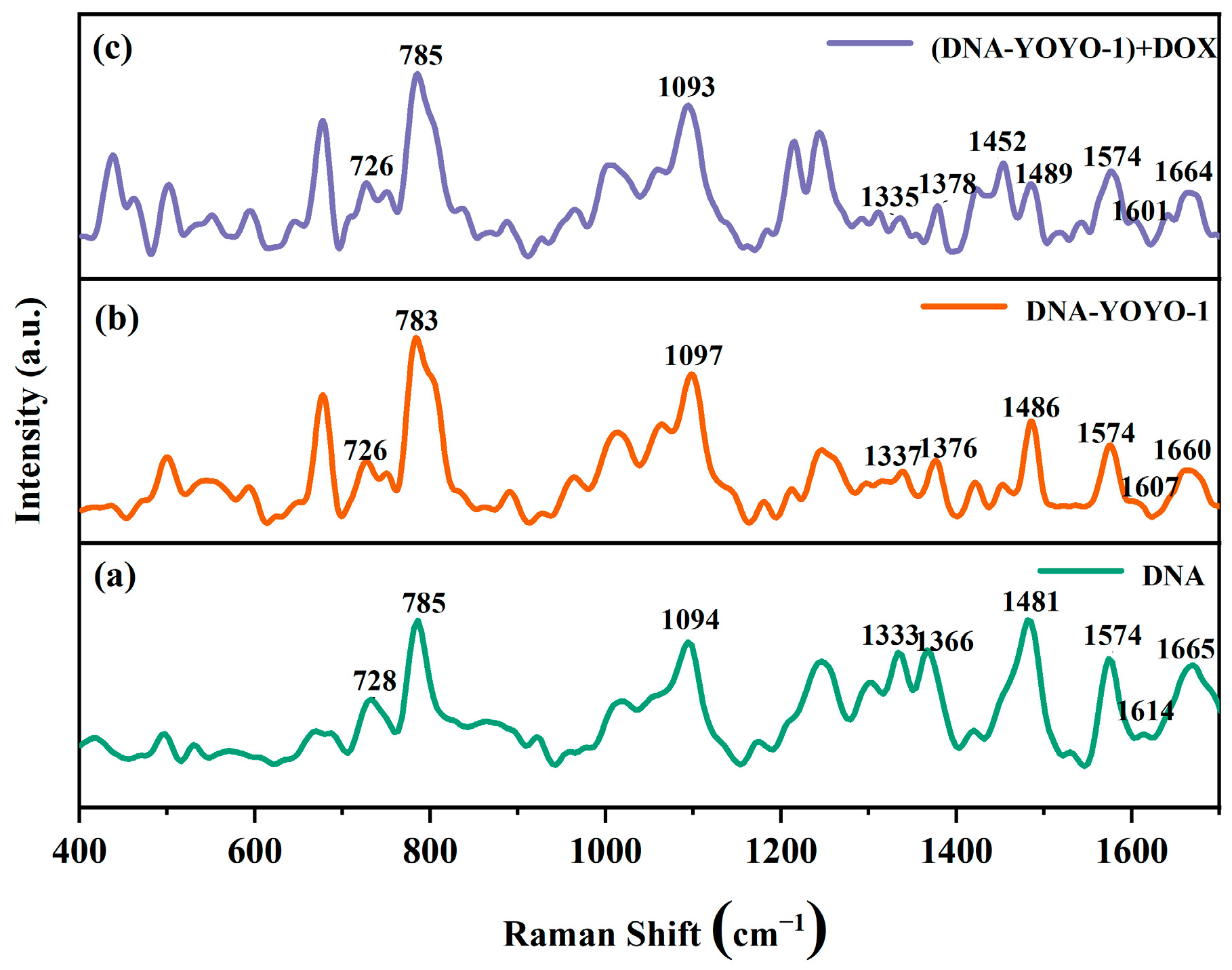 Ijms 25 03804 g006 Ijms 25 03804 g006