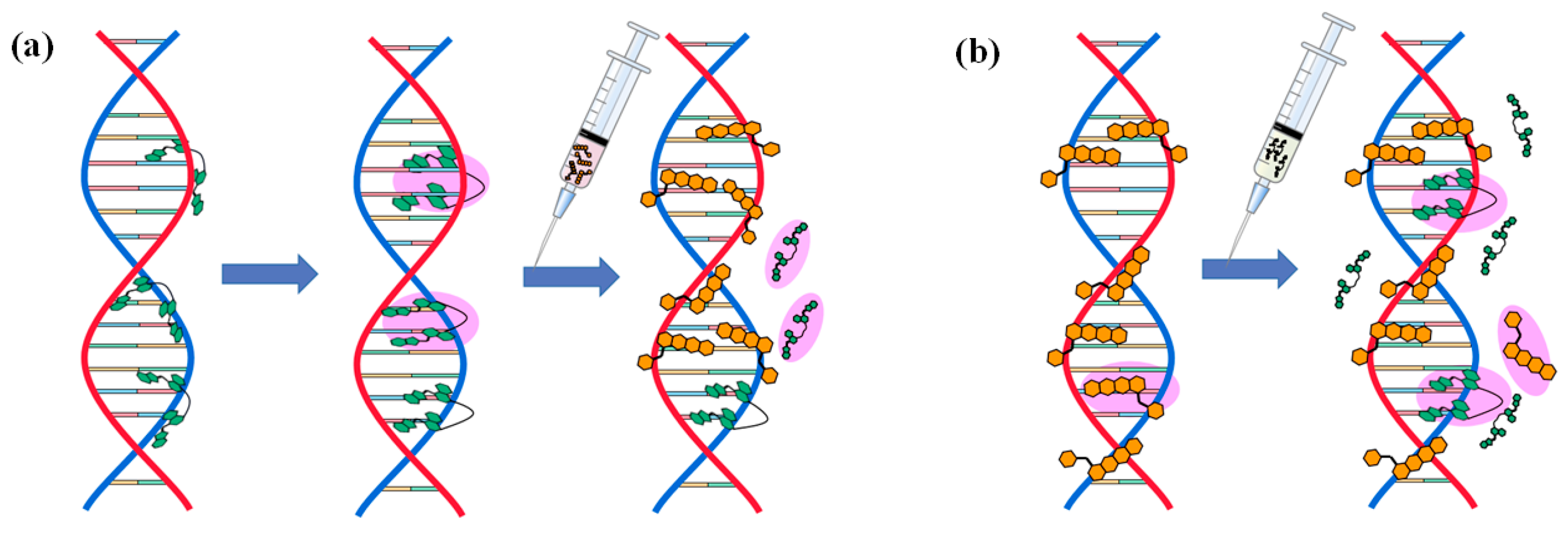 Ijms 25 03804 g009 Ijms 25 03804 g009