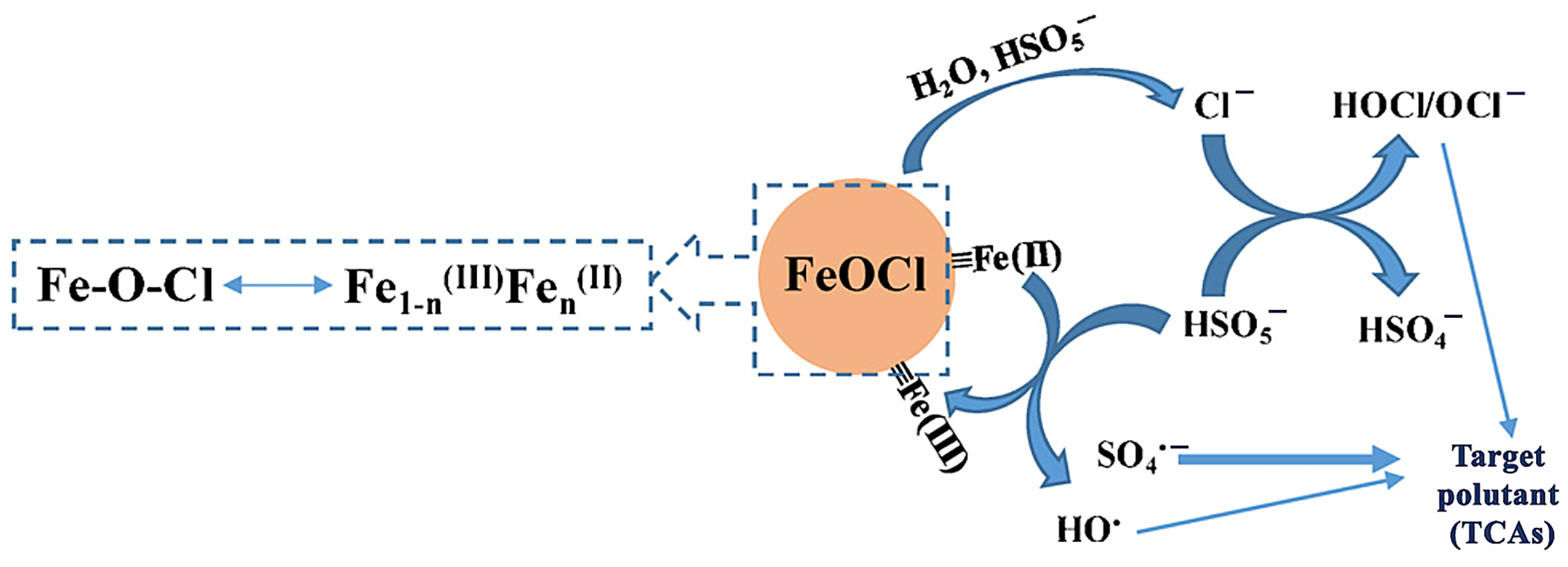 Ijms 25 03822 g010 Ijms 25 03822 g010