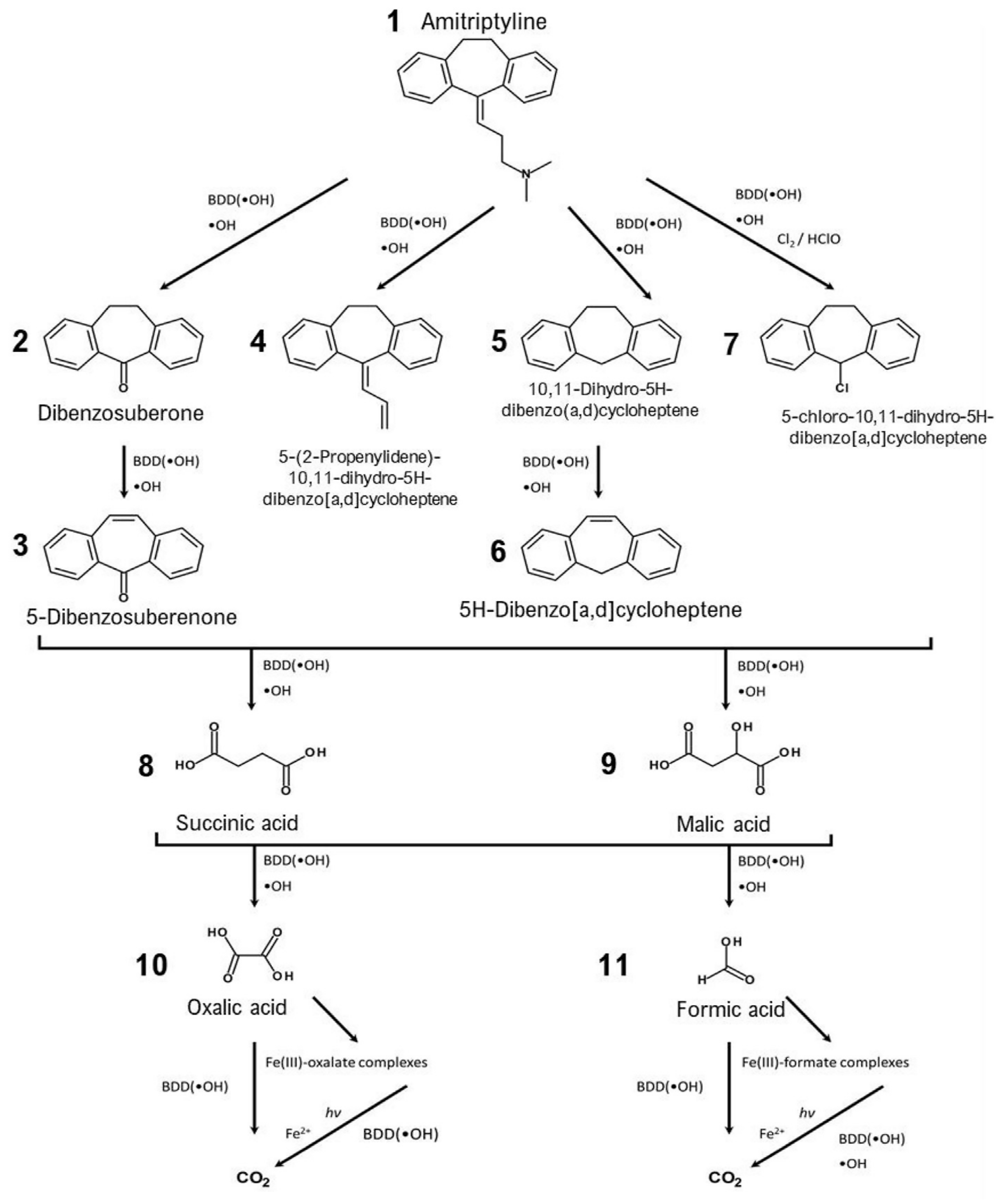 Ijms 25 03822 g016 Ijms 25 03822 g016