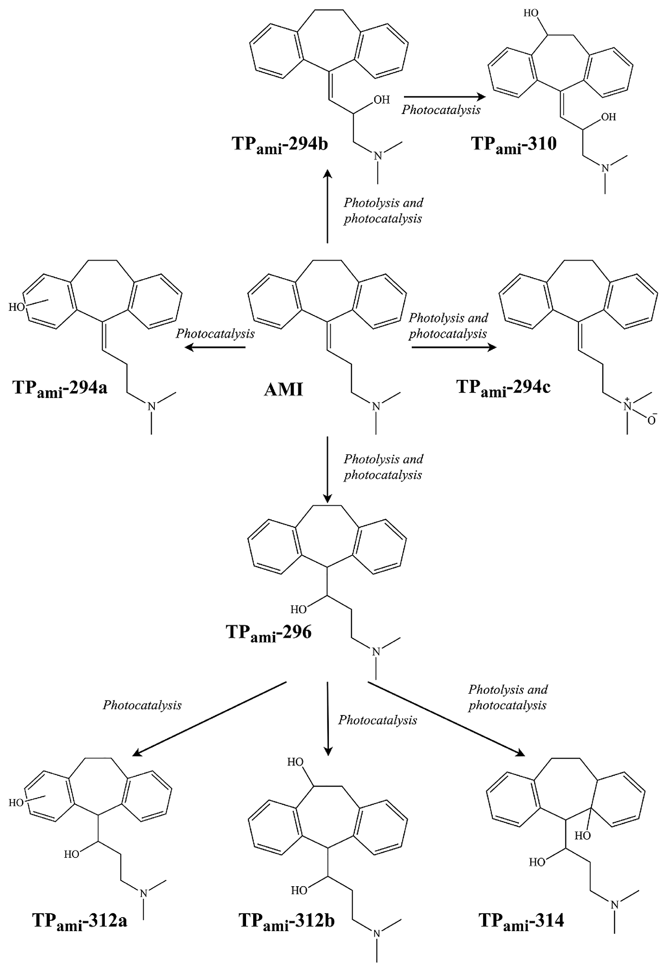 Ijms 25 03822 g019 Ijms 25 03822 g019