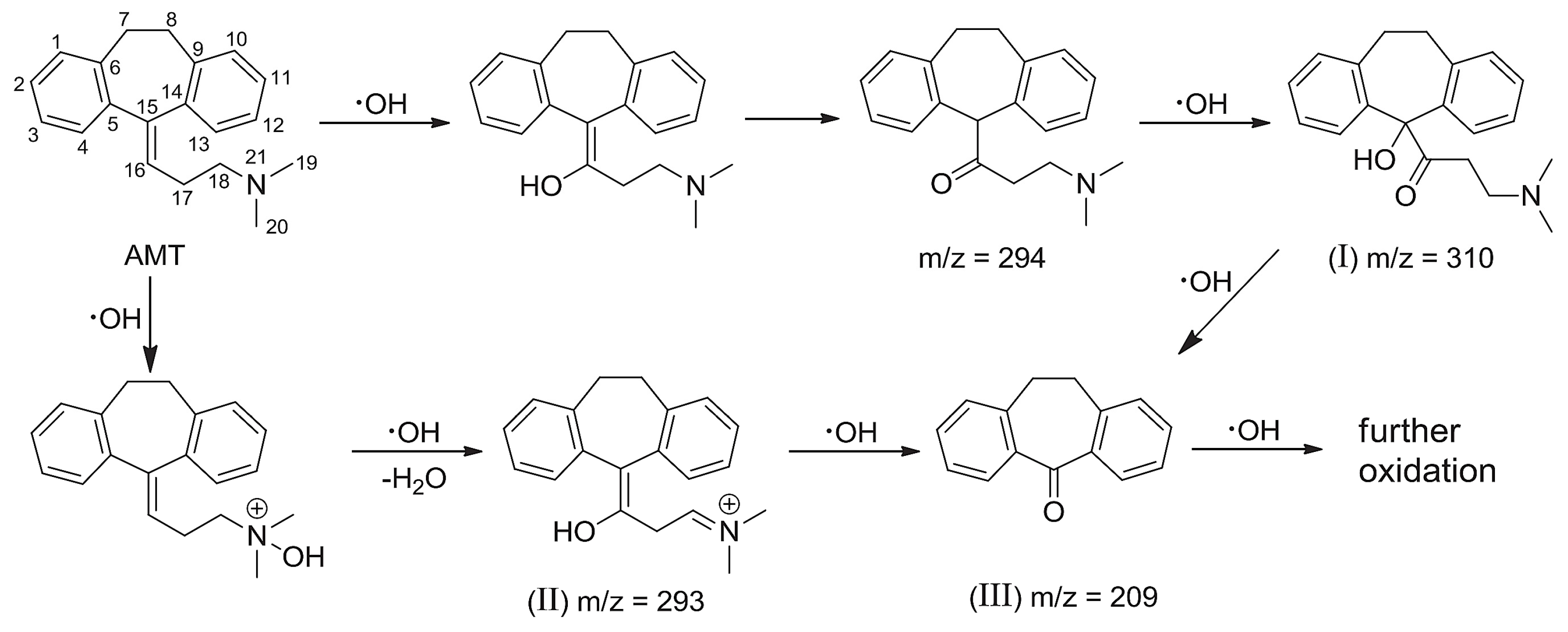 Ijms 25 03822 g025 Ijms 25 03822 g025