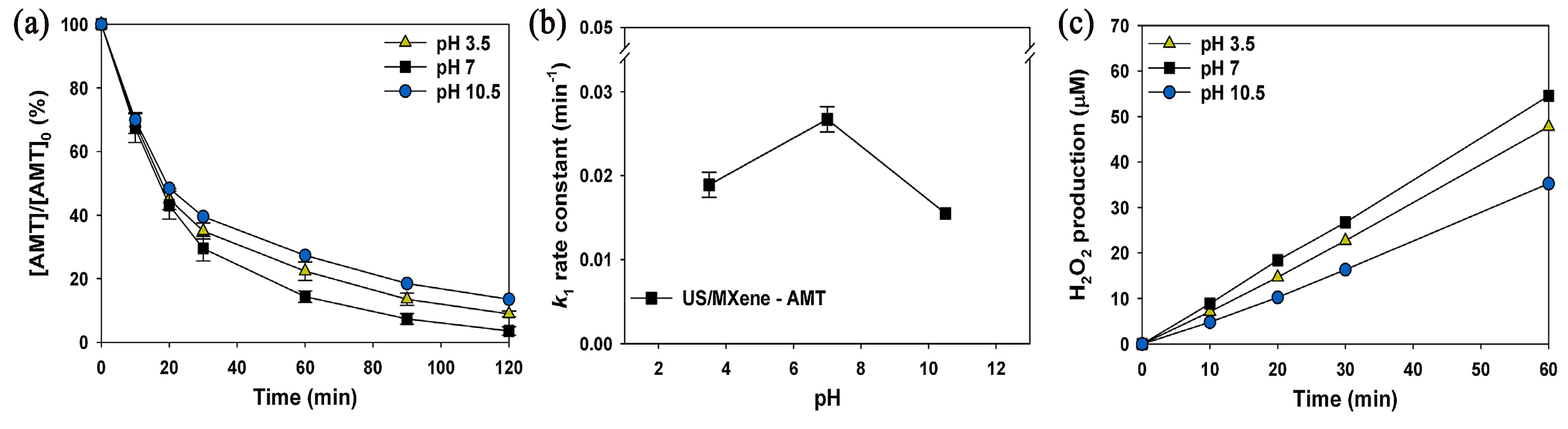 Ijms 25 03822 g028 Ijms 25 03822 g028
