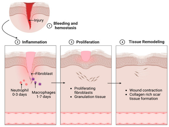 Advancements in Regenerative Hydrogels in Skin Wound