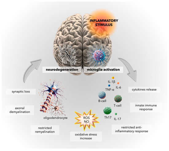 Targeting Vascular Impairment, Neuroinflammation, and Oxidative Stress Dynamics with Whole-Body Cryotherapy in Multiple Sclerosis Treatment