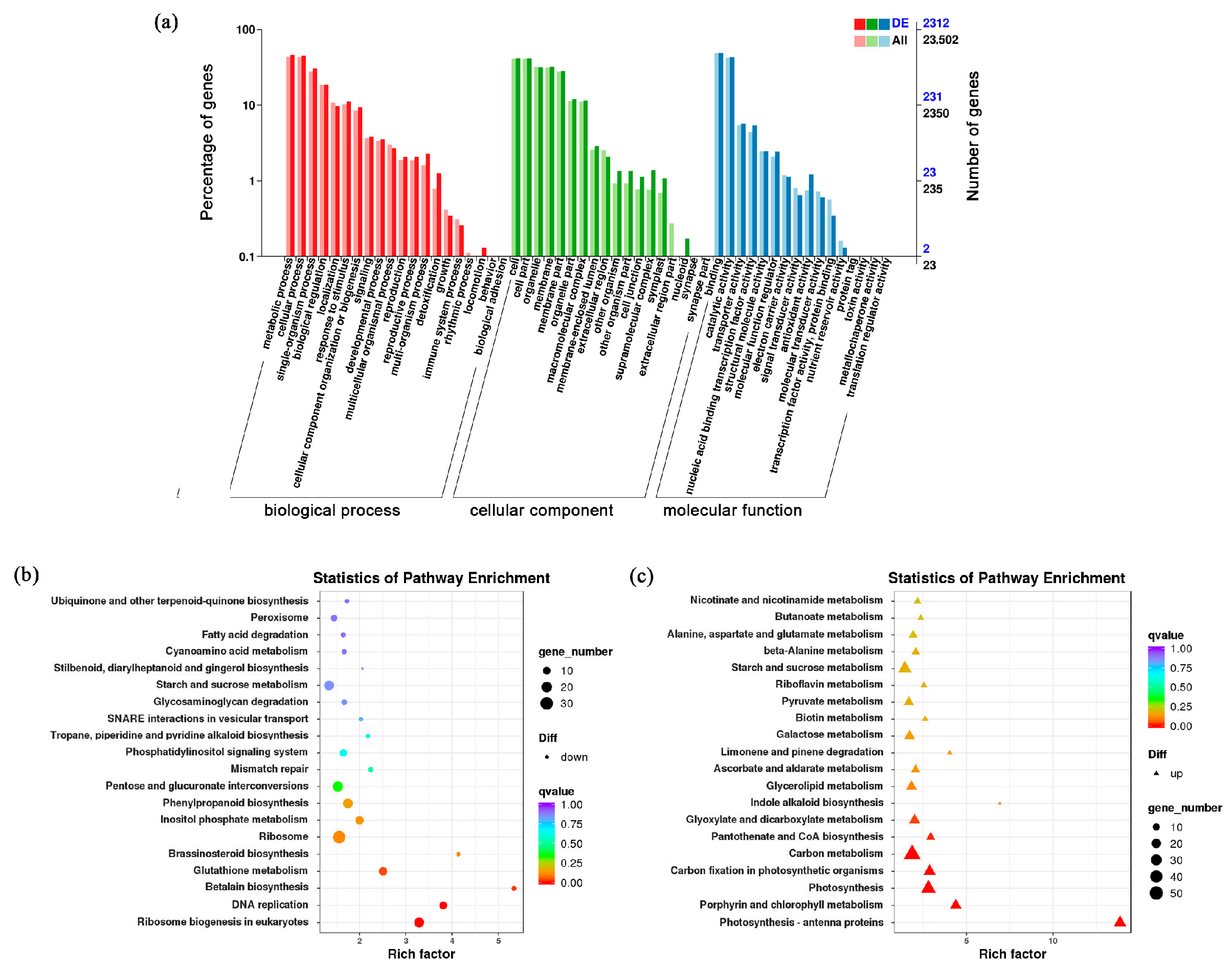Ijms 25 03864 g002 Ijms 25 03864 g002