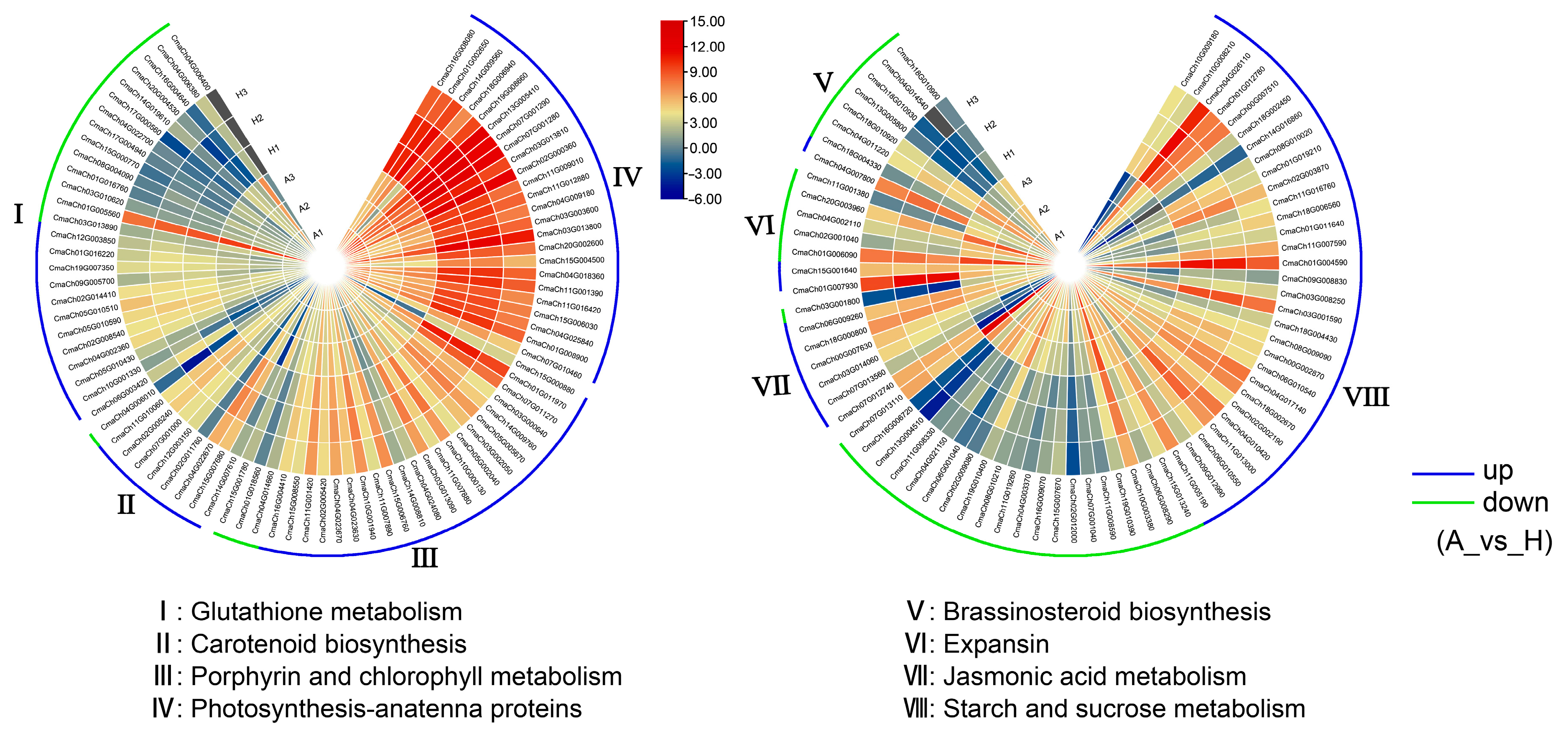 Ijms 25 03864 g003 Ijms 25 03864 g003