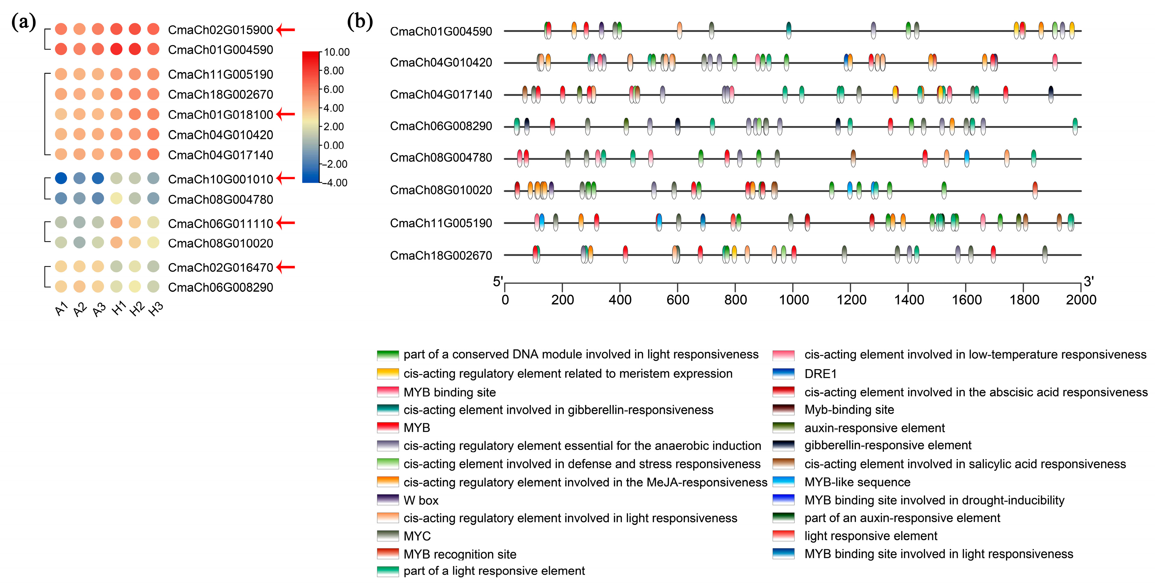 Ijms 25 03864 g006 Ijms 25 03864 g006