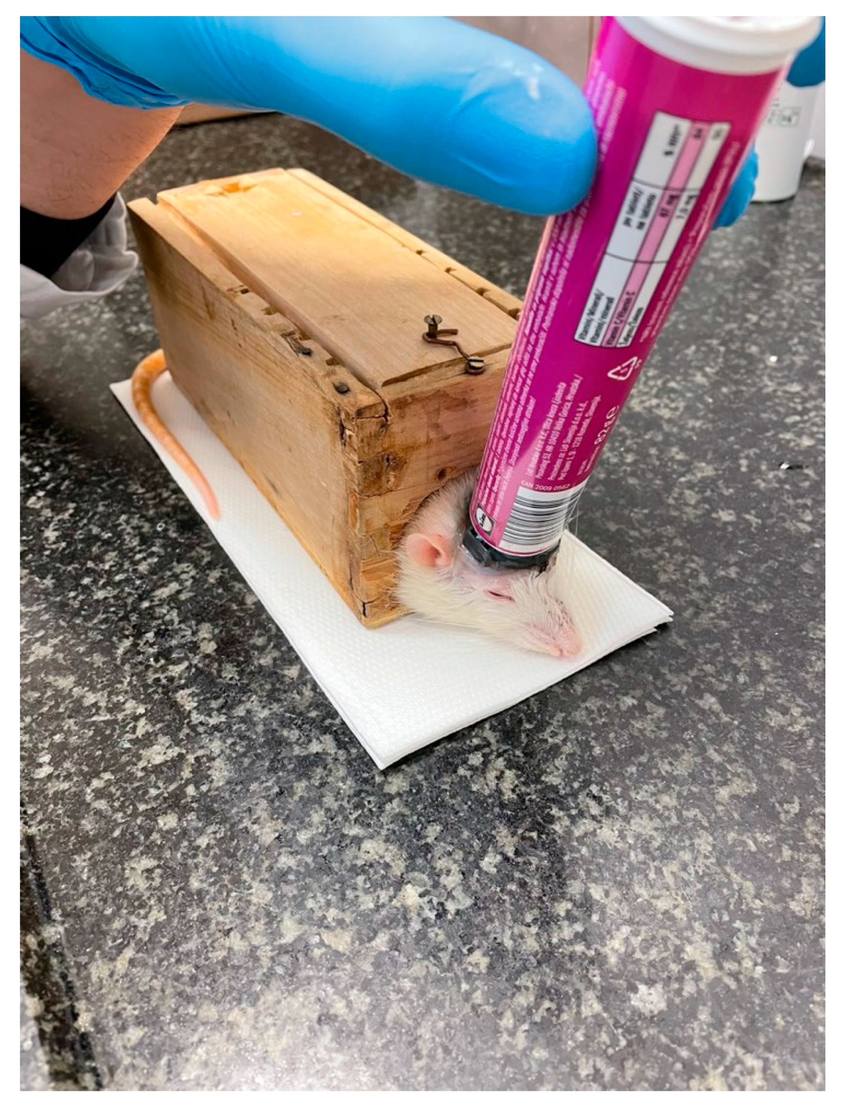 Ijms 25 03882 g005 Ijms 25 03882 g005