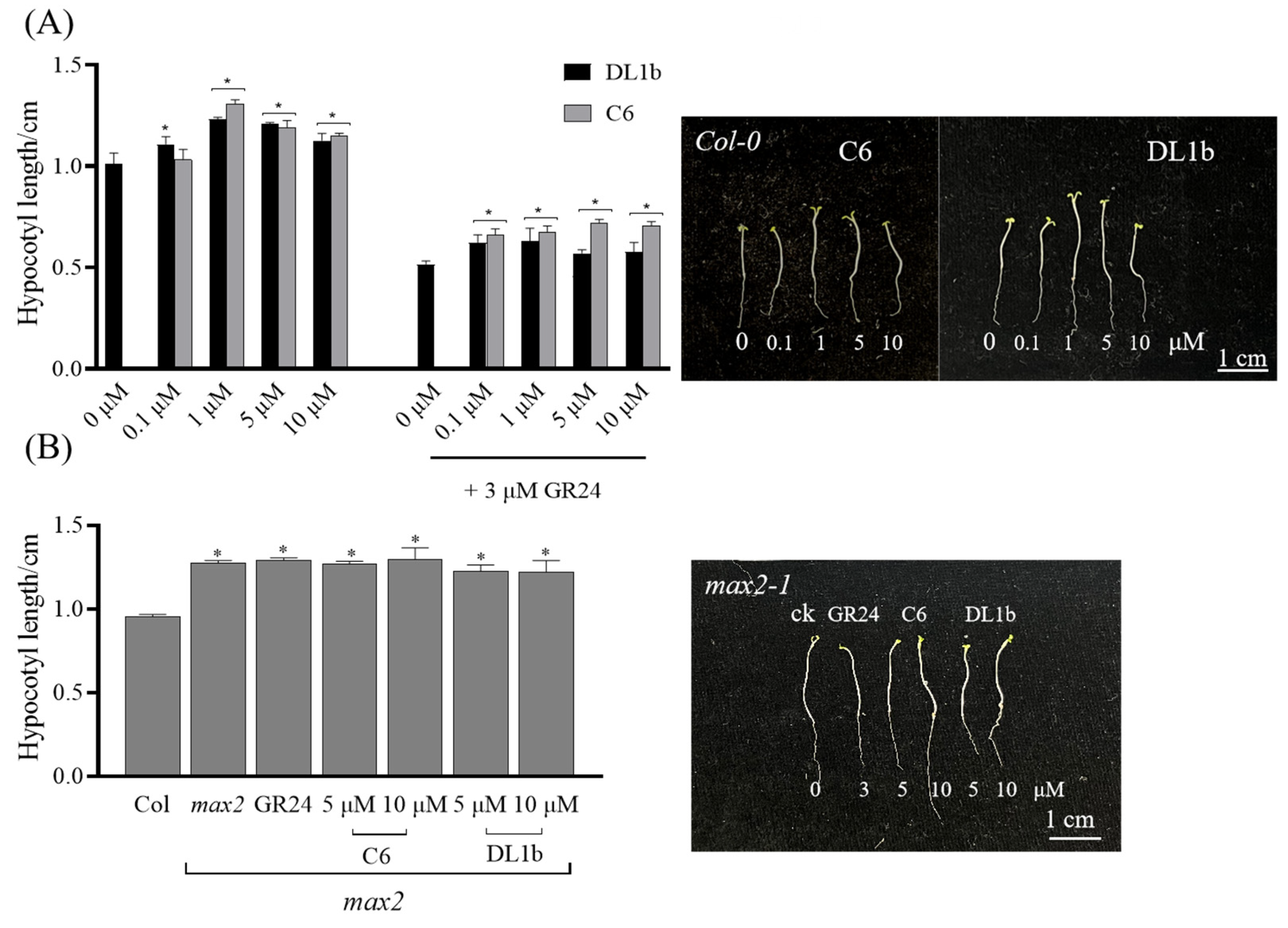 Ijms 25 03902 g007 Ijms 25 03902 g007
