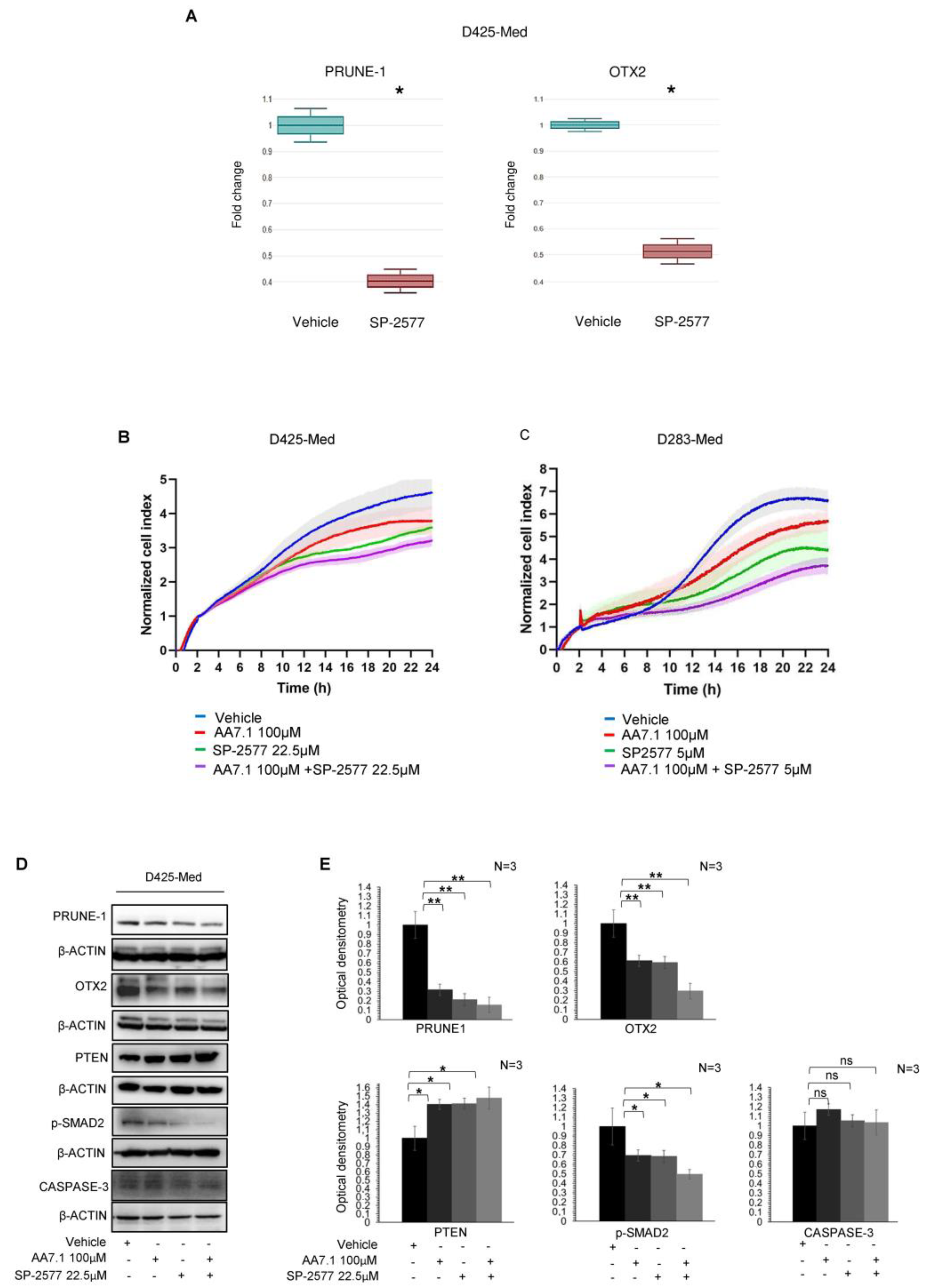 Ijms 25 03917 g002 Ijms 25 03917 g002