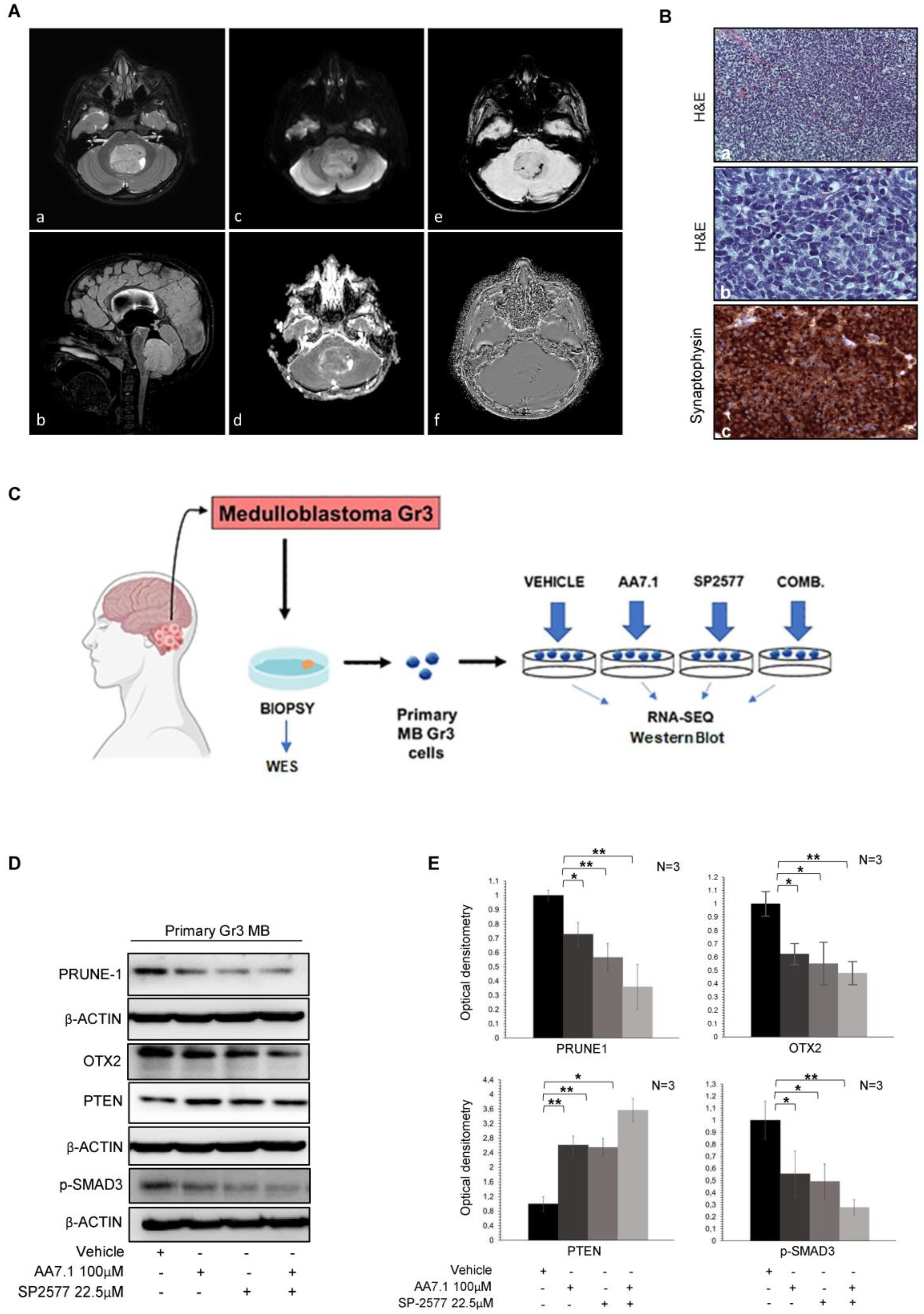 Ijms 25 03917 g003 Ijms 25 03917 g003