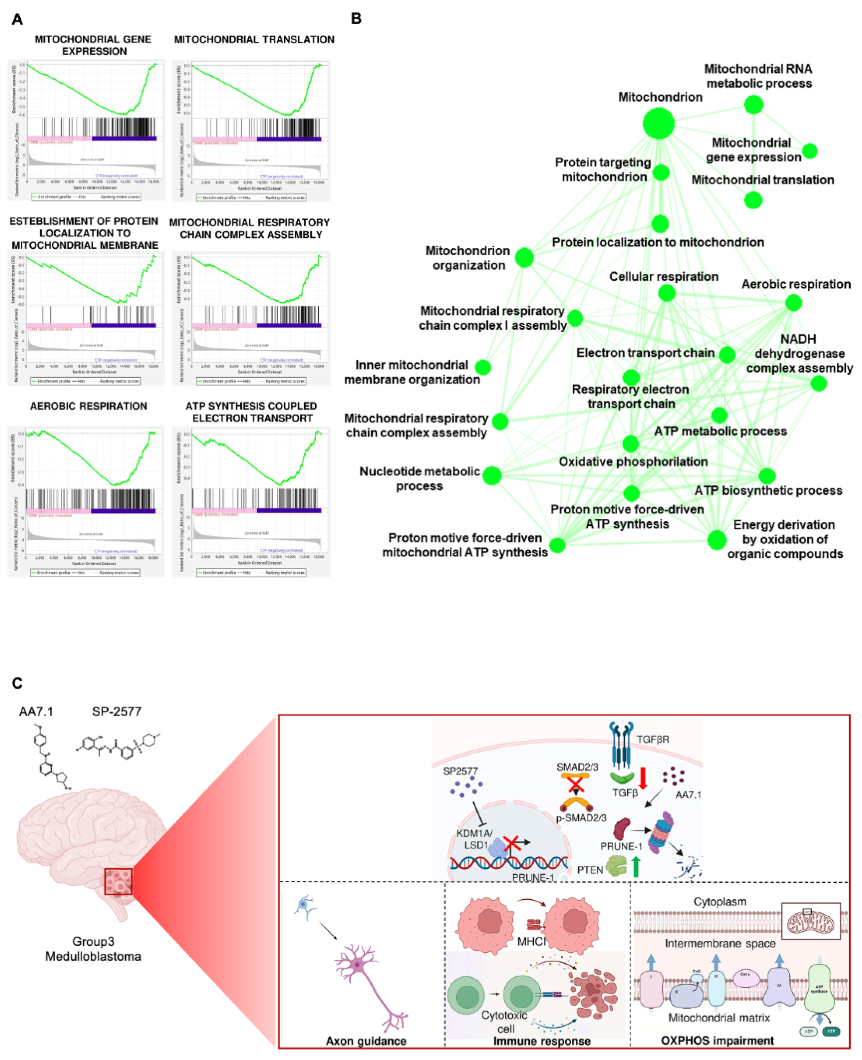Ijms 25 03917 g005 Ijms 25 03917 g005