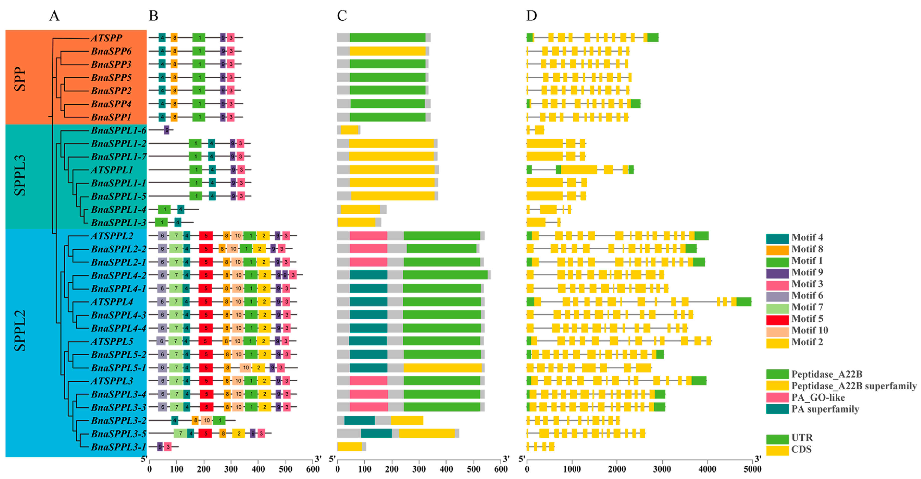 Ijms 25 03936 g002 Ijms 25 03936 g002