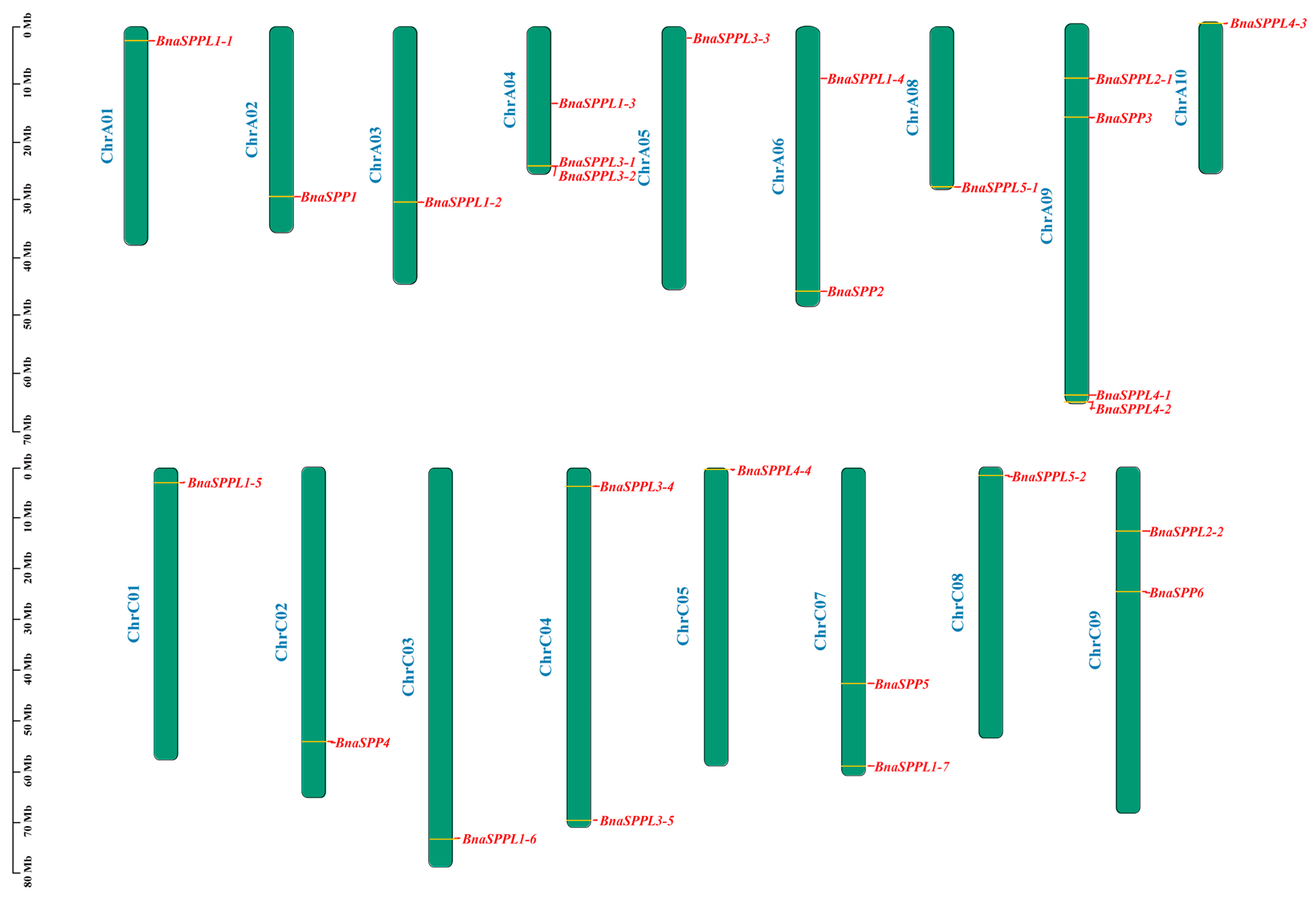 Ijms 25 03936 g003 Ijms 25 03936 g003