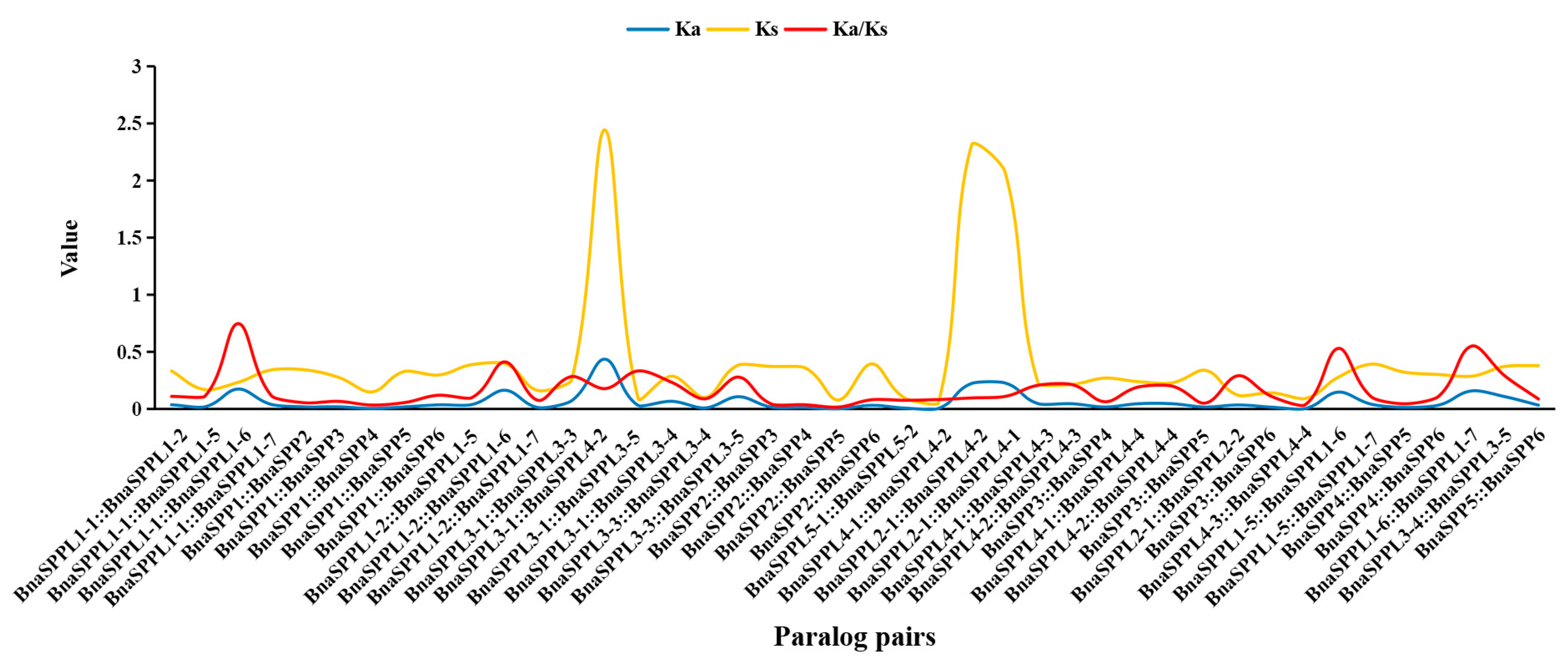 Ijms 25 03936 g005 Ijms 25 03936 g005