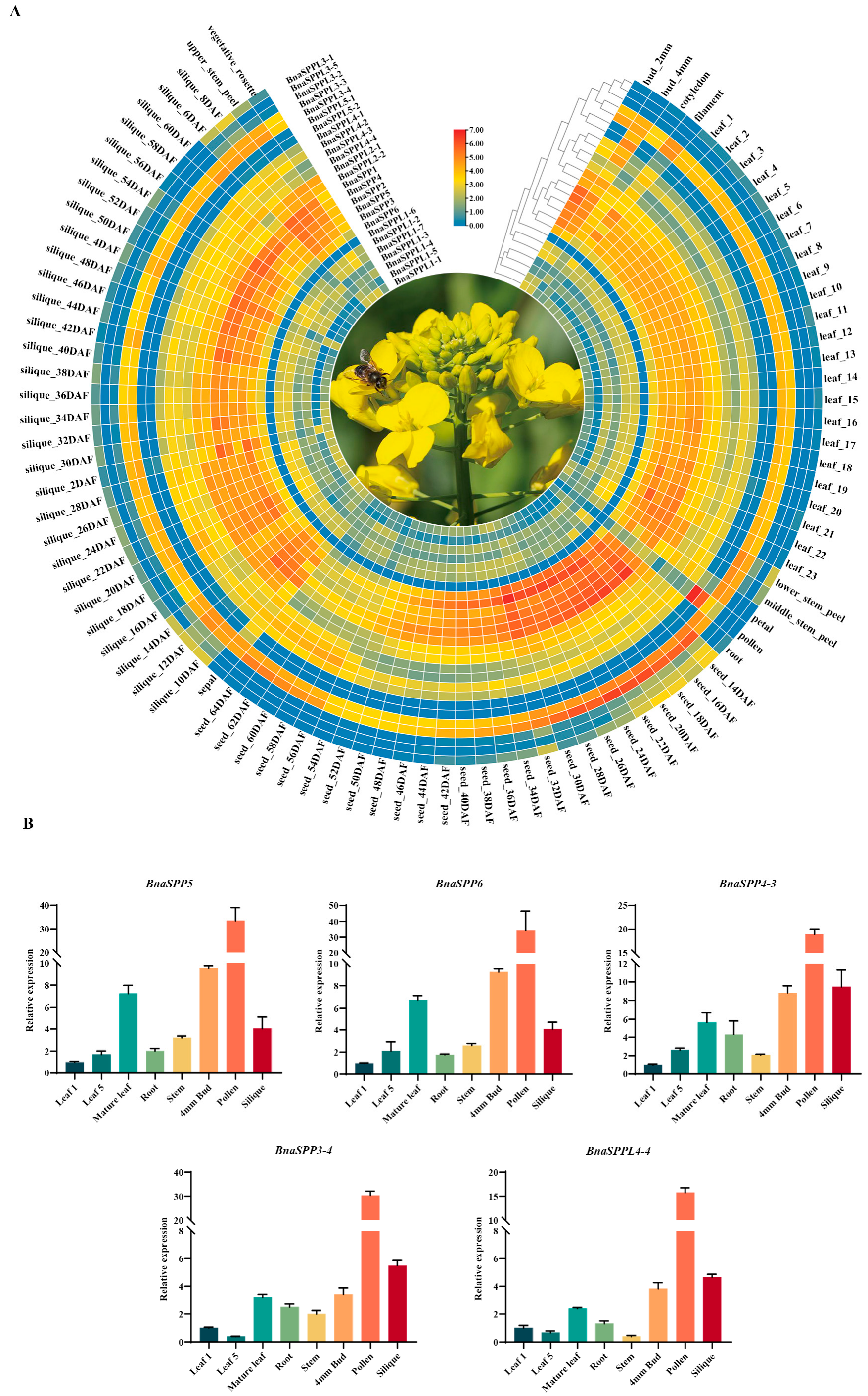 Ijms 25 03936 g006 Ijms 25 03936 g006