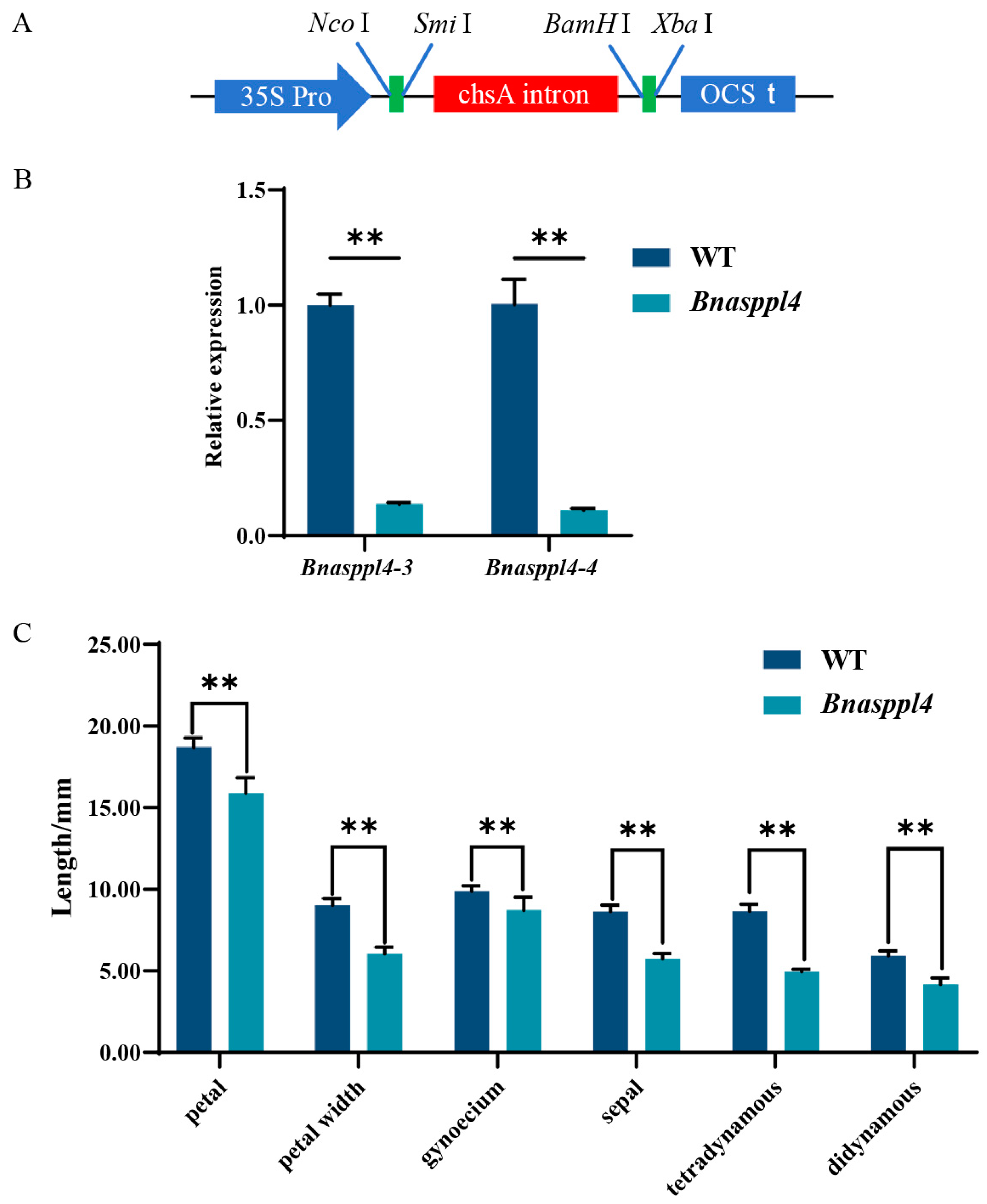 Ijms 25 03936 g007 Ijms 25 03936 g007