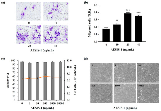 AESIS-1, a Rheumatoid Arthritis Therapeutic Peptide, Accelerates Wound  Healing by Promoting Fibroblast Migration in a CXCR2-Dependent Manner
