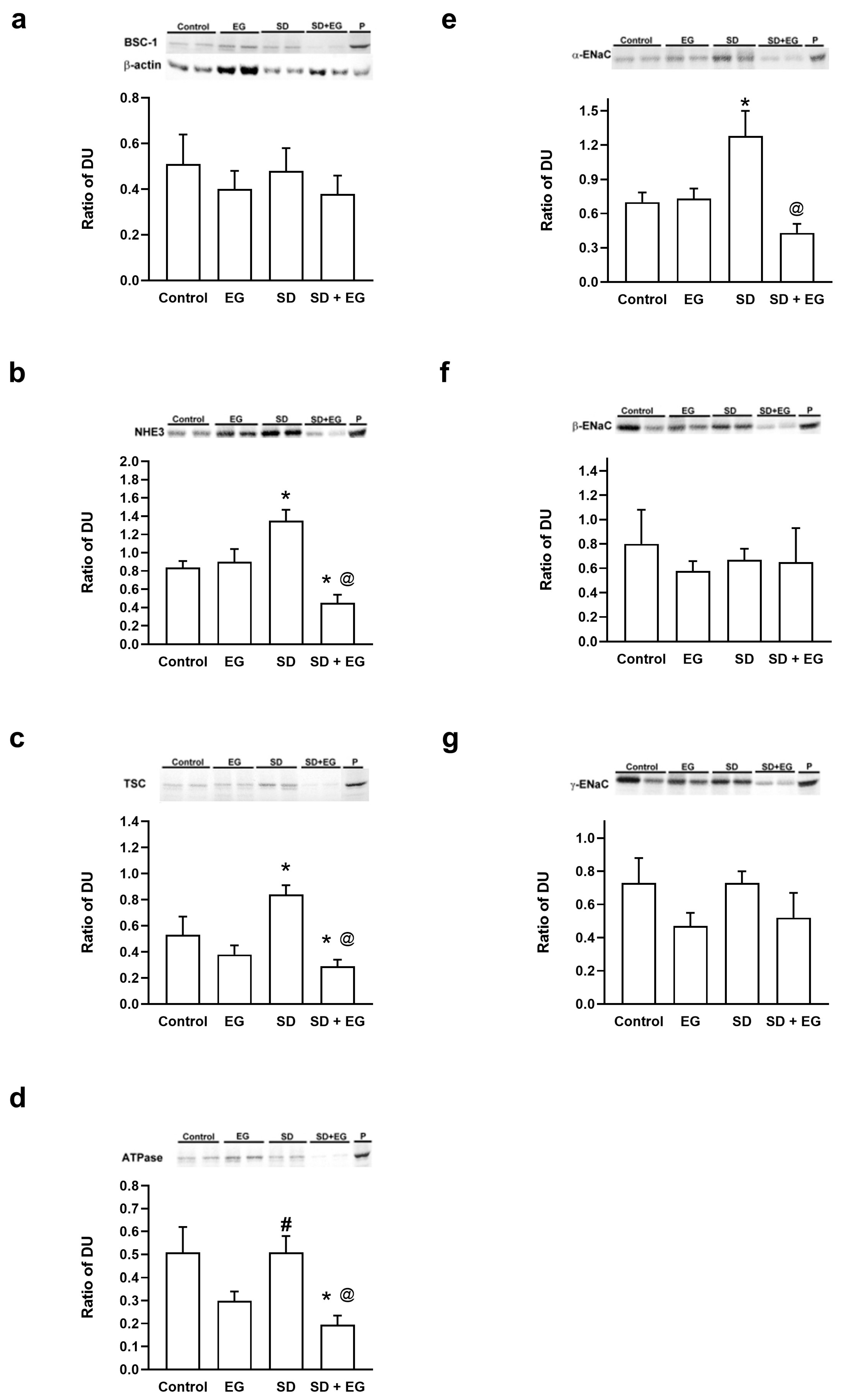 Ijms 25 03942 g006 Ijms 25 03942 g006
