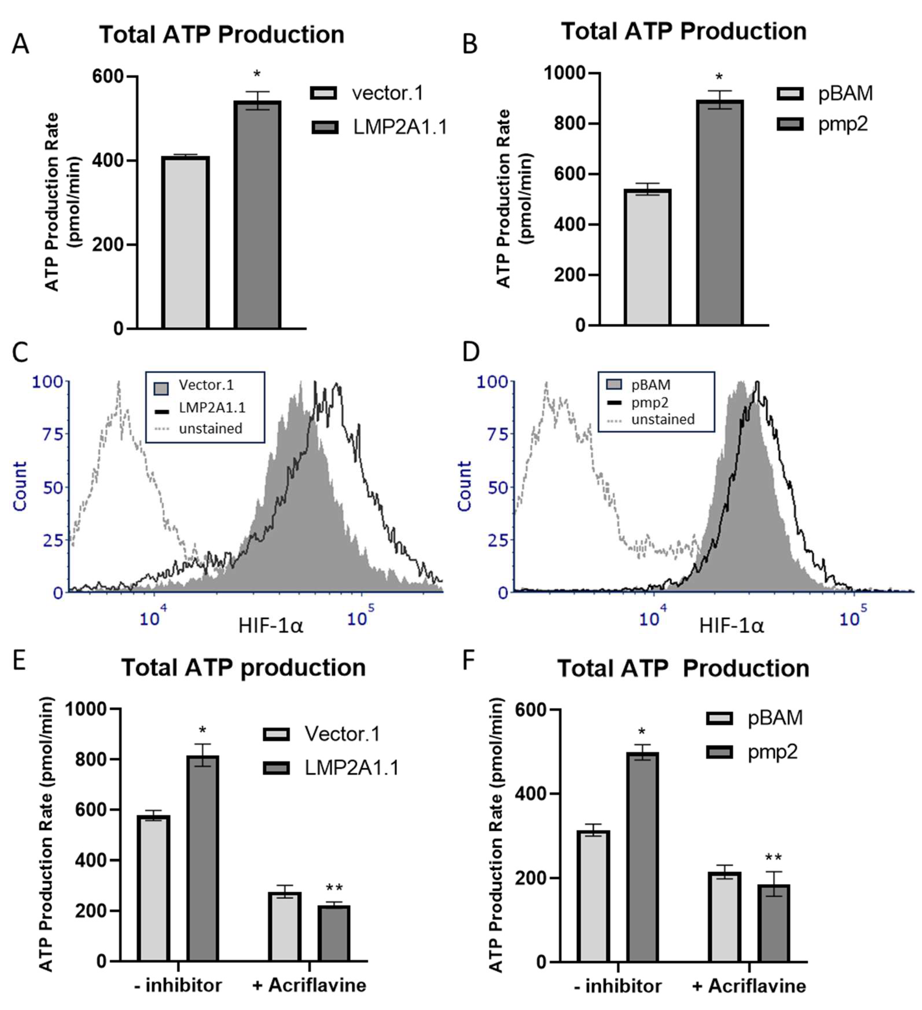 Ijms 25 03944 g001 Ijms 25 03944 g001