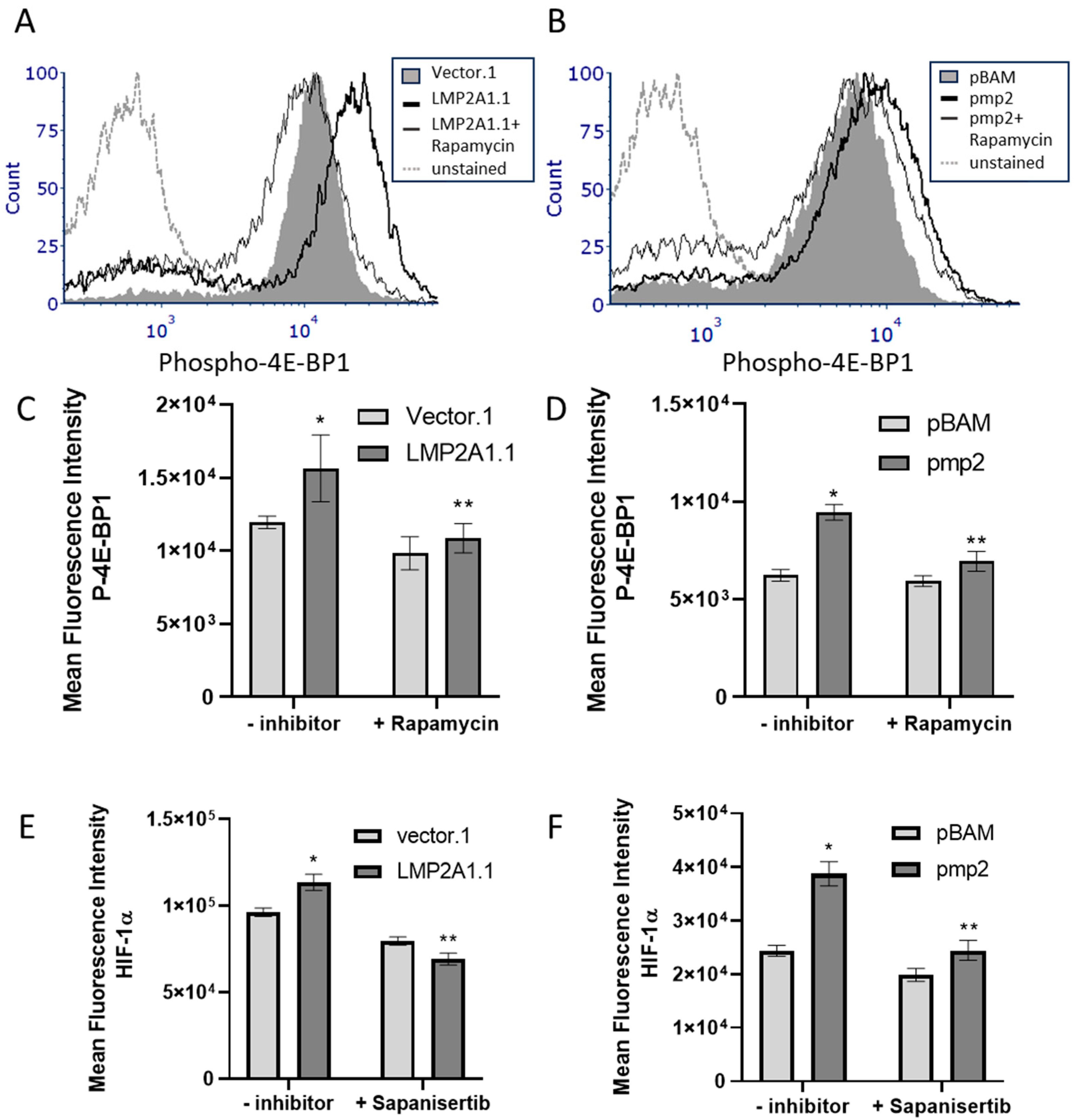 Ijms 25 03944 g005 Ijms 25 03944 g005