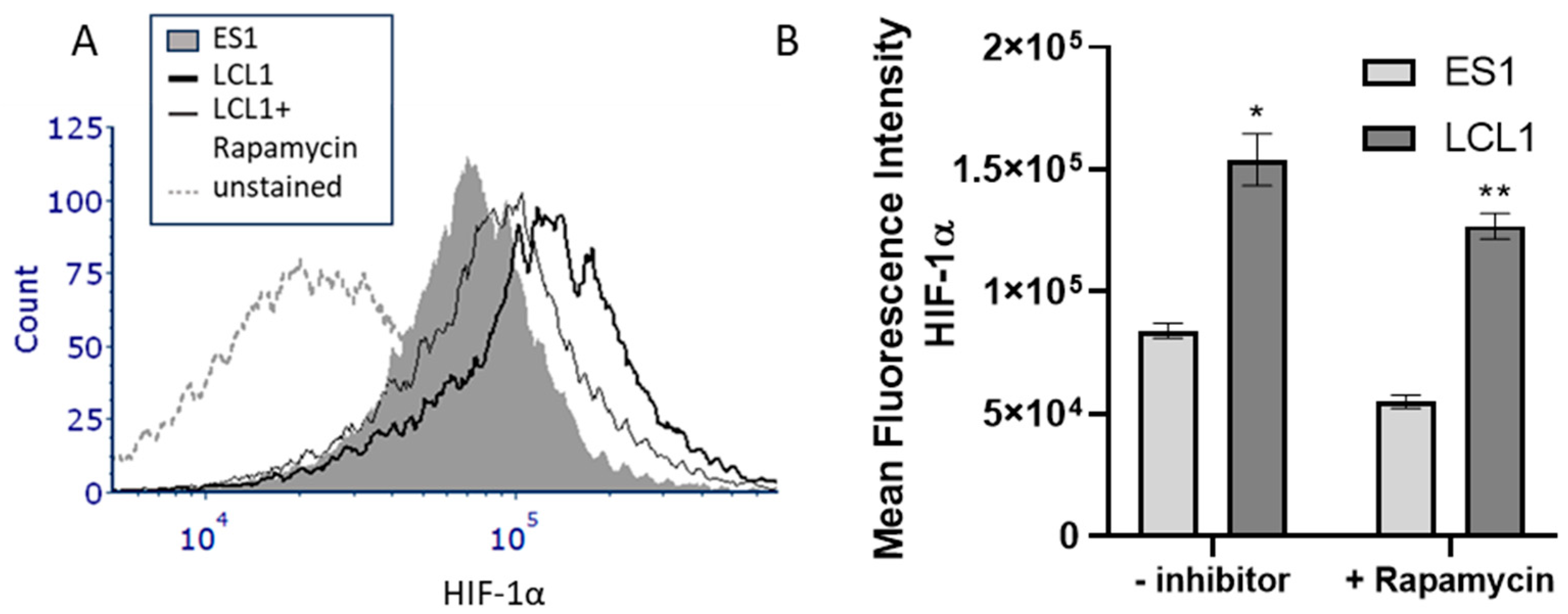 Ijms 25 03944 g006 Ijms 25 03944 g006