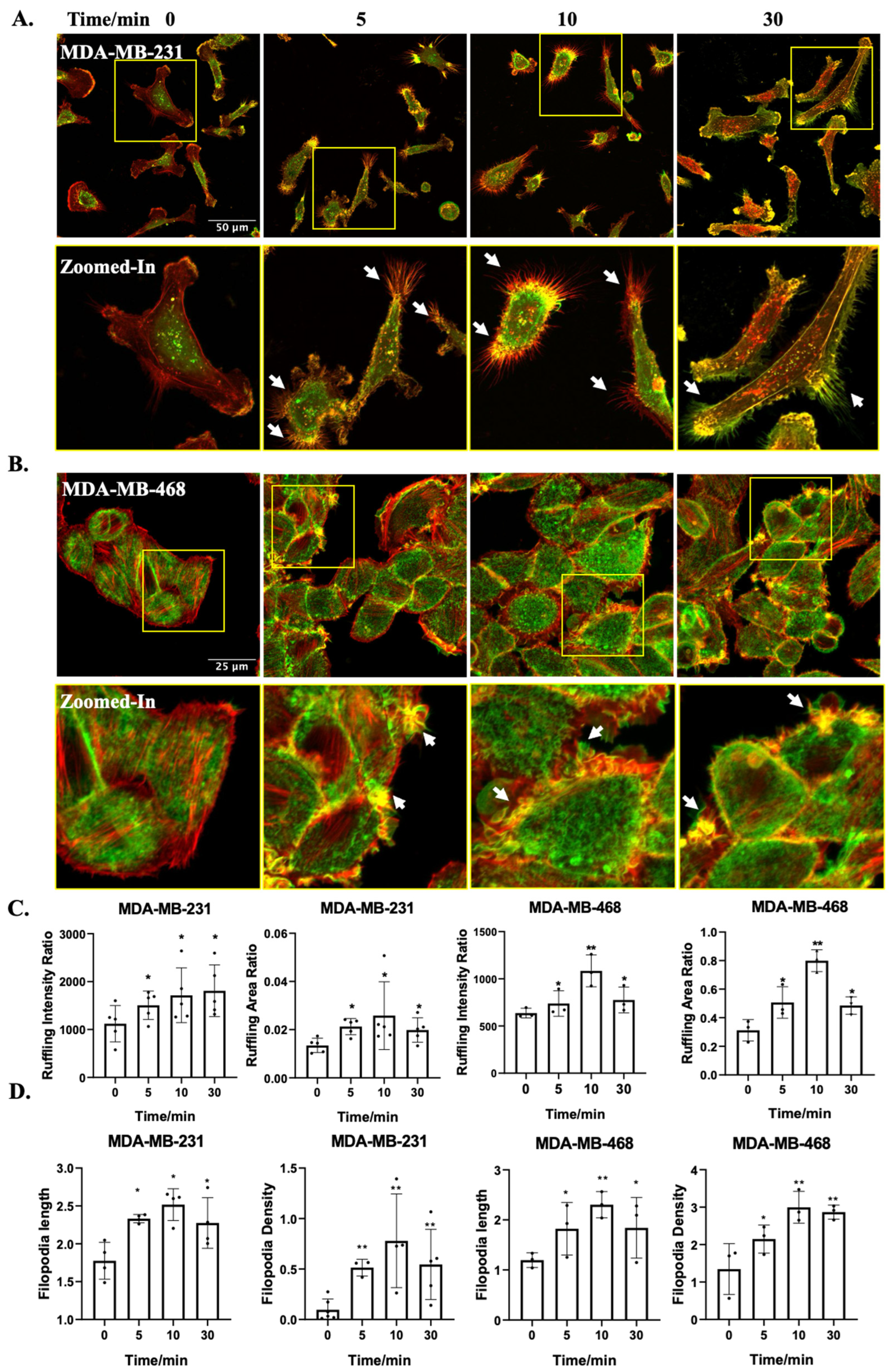 Ijms 25 03956 g001 Ijms 25 03956 g001