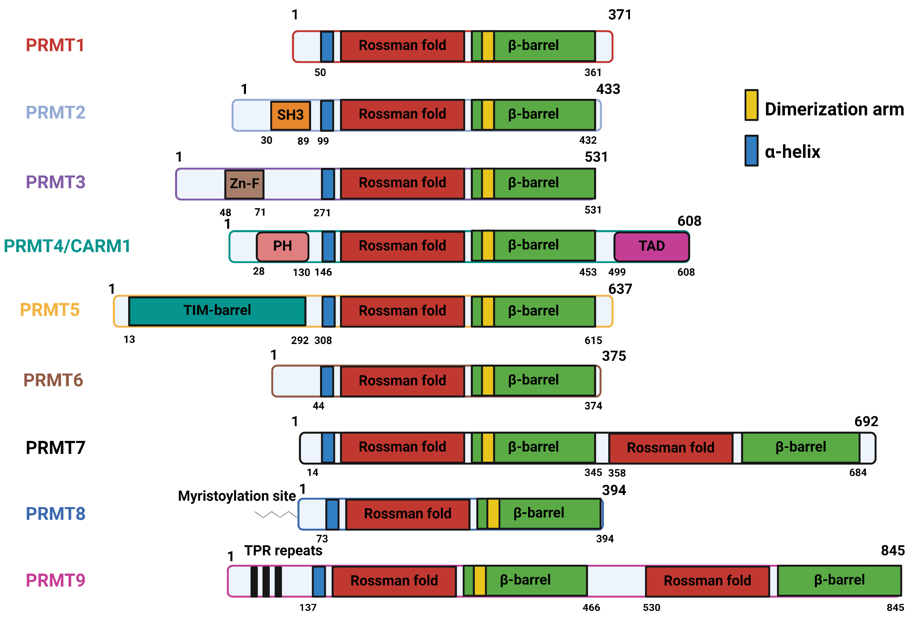 Ijms 25 03958 g002 Ijms 25 03958 g002