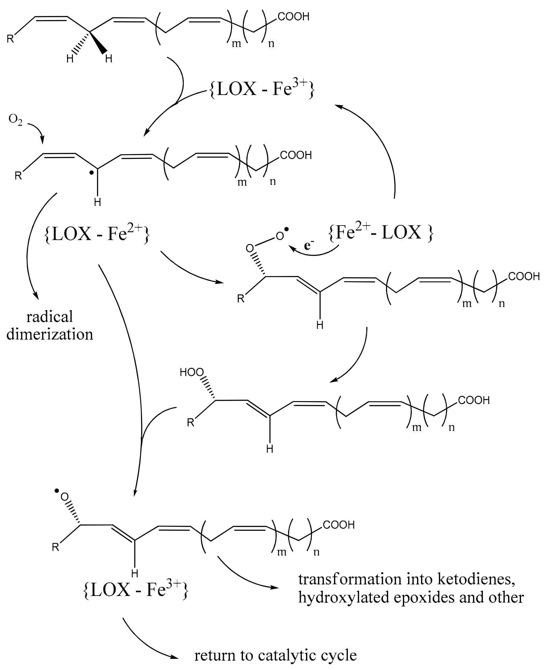 Ijms 25 03961 g001 Ijms 25 03961 g001