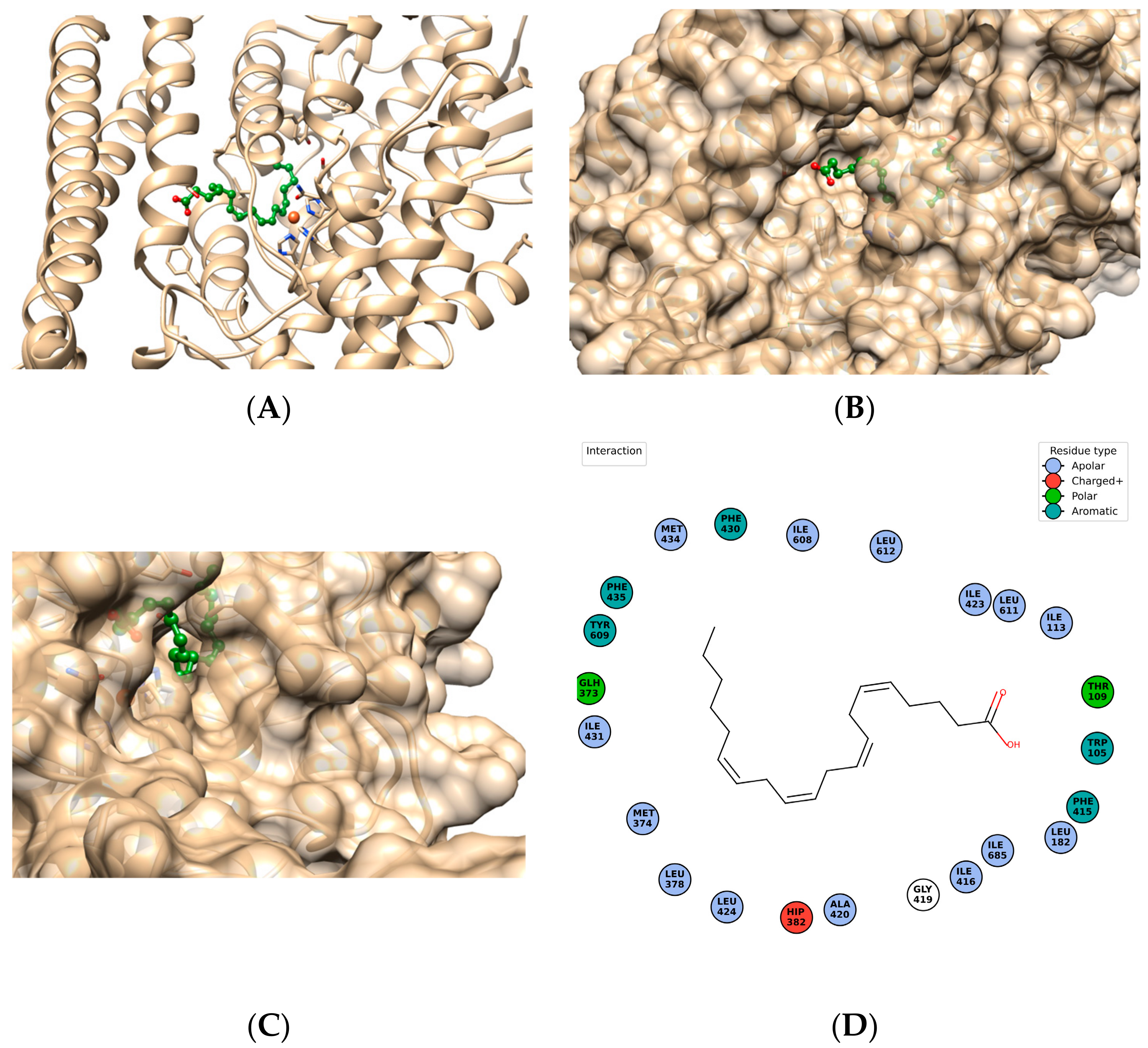 Ijms 25 03961 g002 Ijms 25 03961 g002