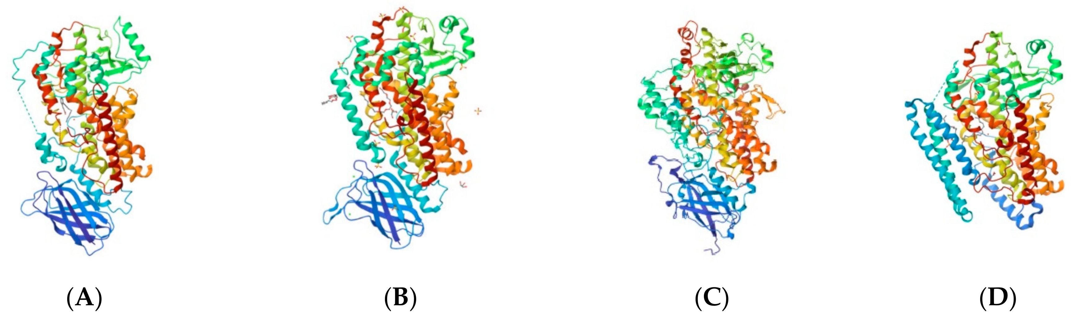 Ijms 25 03961 g004 Ijms 25 03961 g004