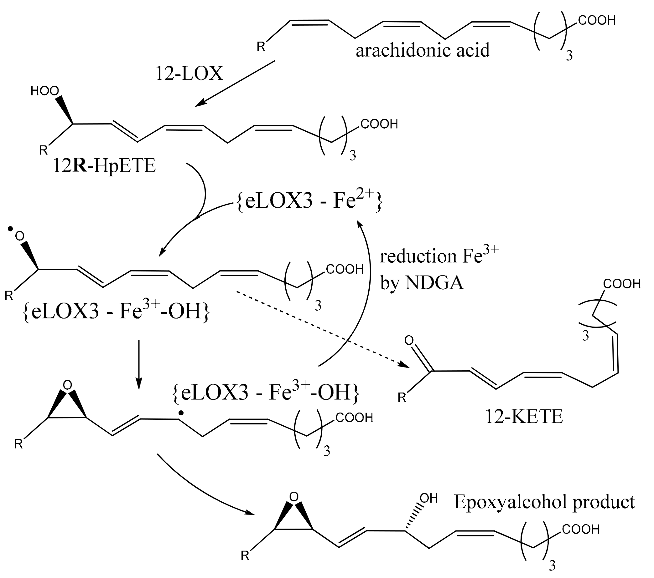 Ijms 25 03961 g005 Ijms 25 03961 g005