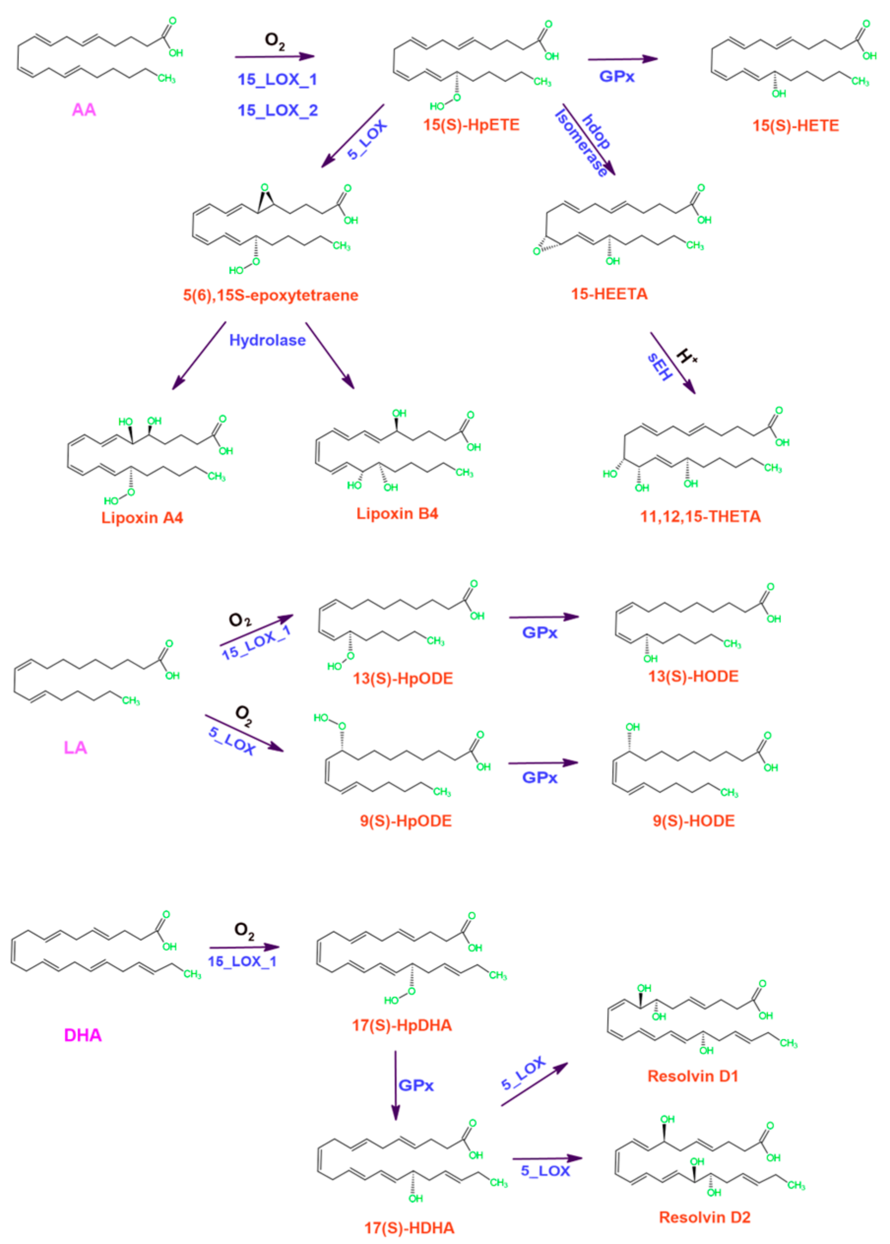 Ijms 25 03961 g007 Ijms 25 03961 g007