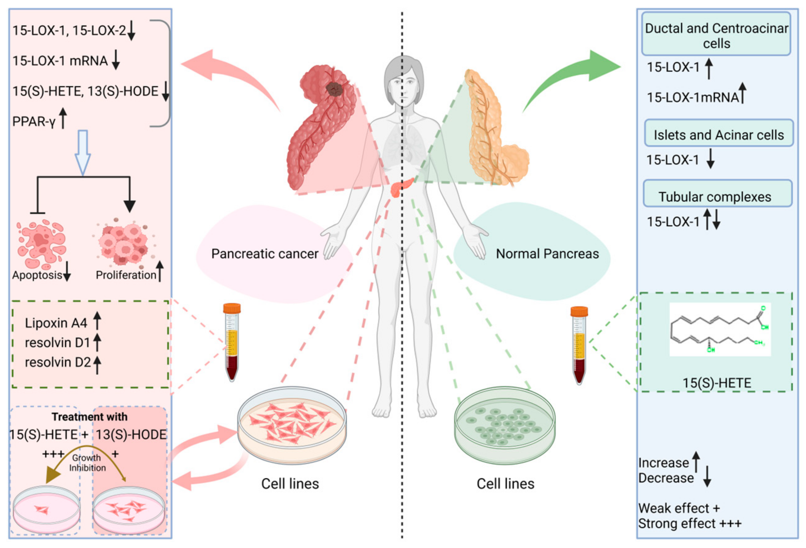 Ijms 25 03961 g008 Ijms 25 03961 g008