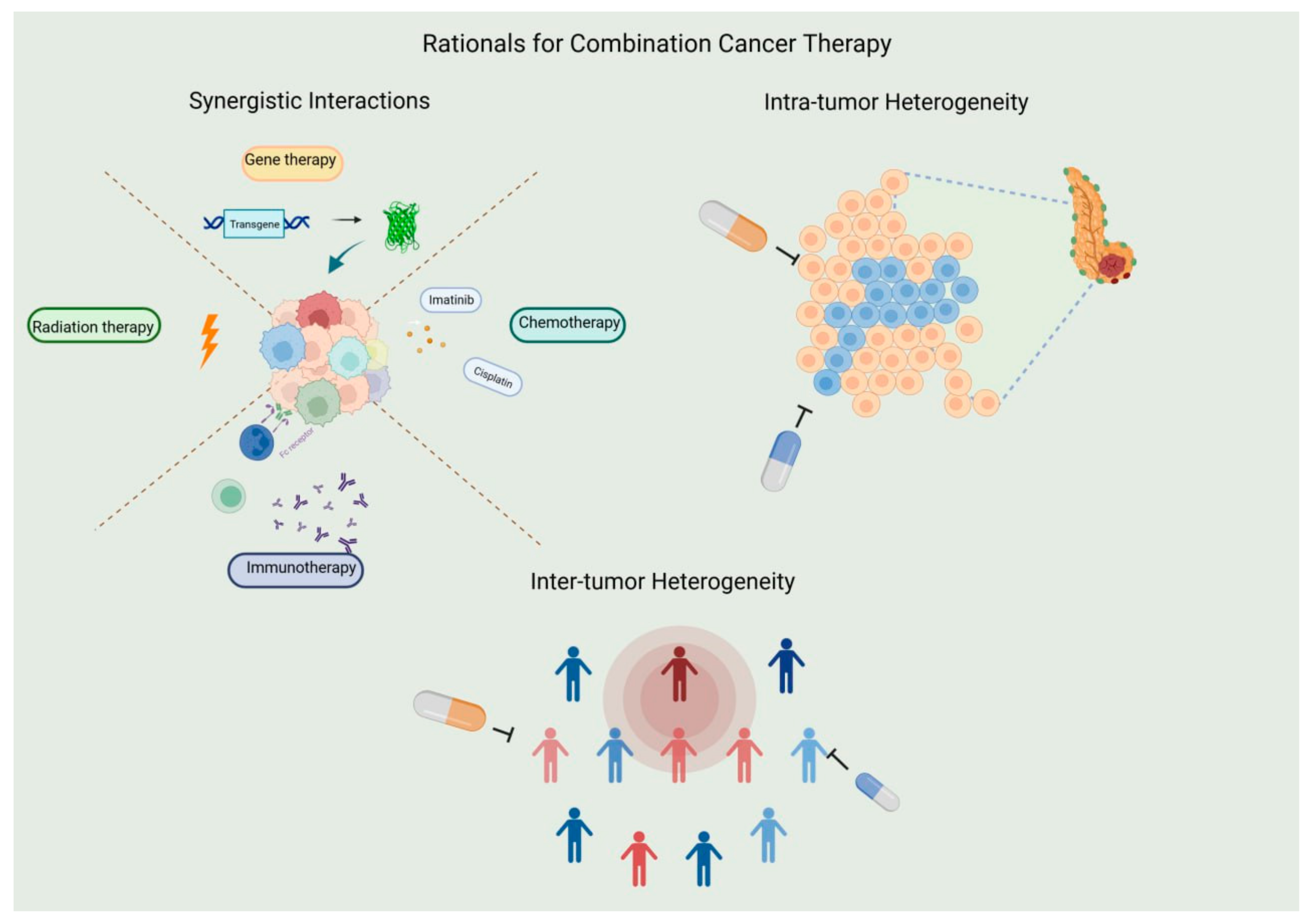 Ijms 25 03961 g010 Ijms 25 03961 g010