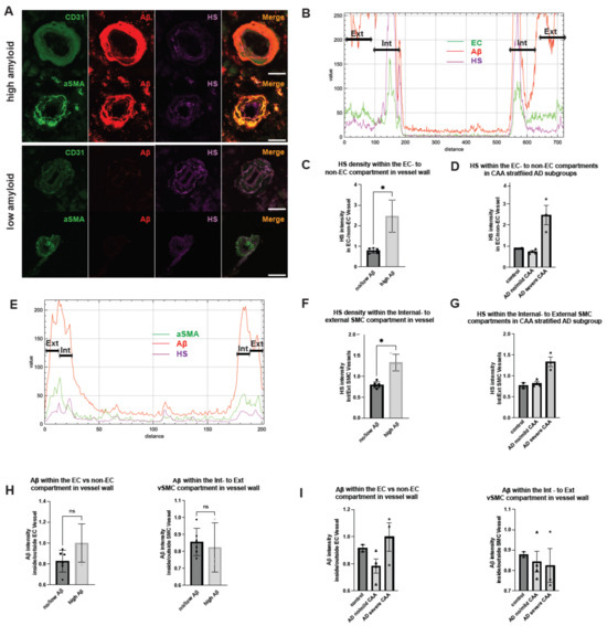 Vascular Heparan Sulfate and Amyloid-β in Alzheimer’s Disease Patients