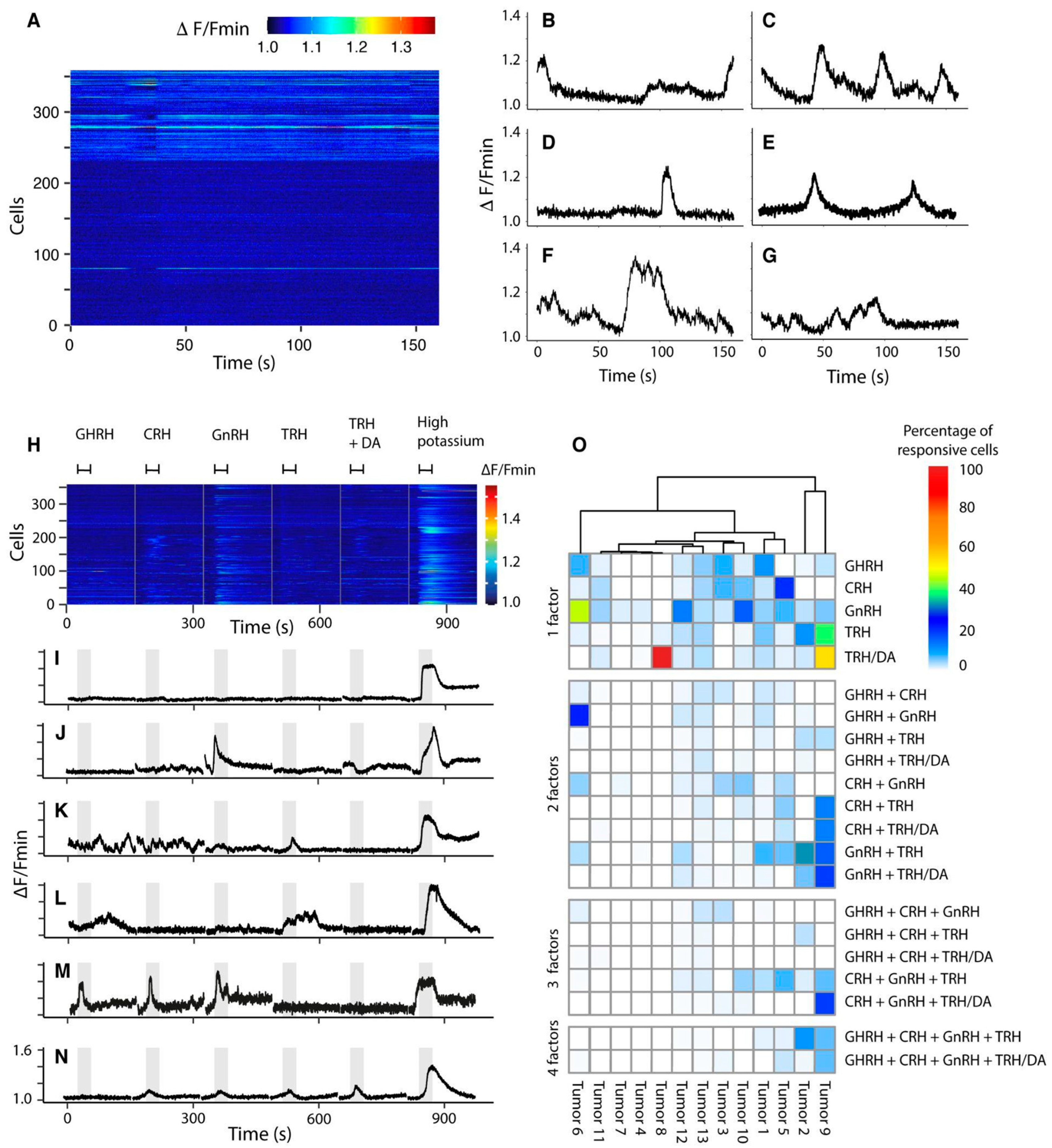Ijms 25 03968 g002 Ijms 25 03968 g002