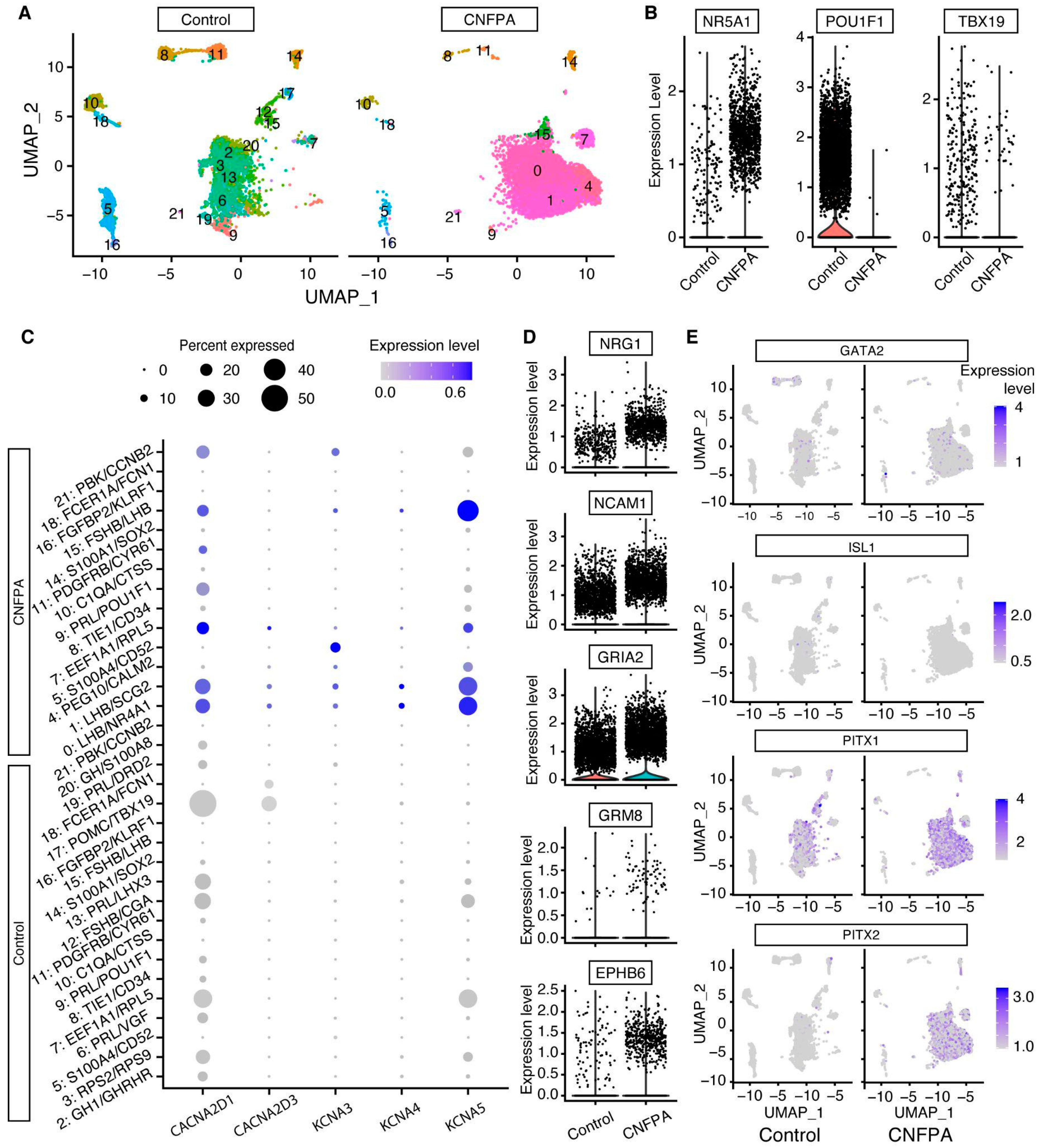 Ijms 25 03968 g005 Ijms 25 03968 g005