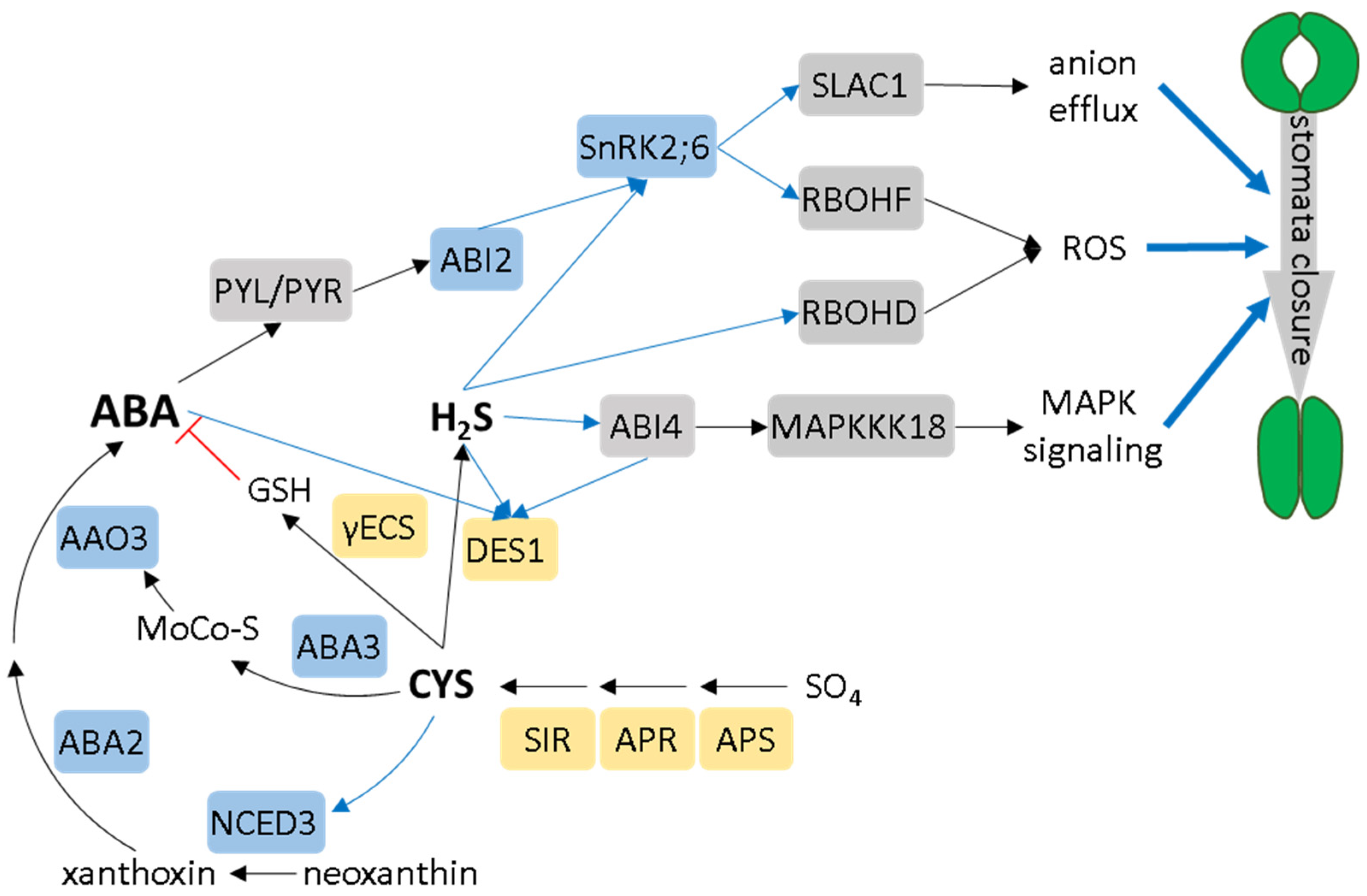 Ijms 25 03978 g003 Ijms 25 03978 g003