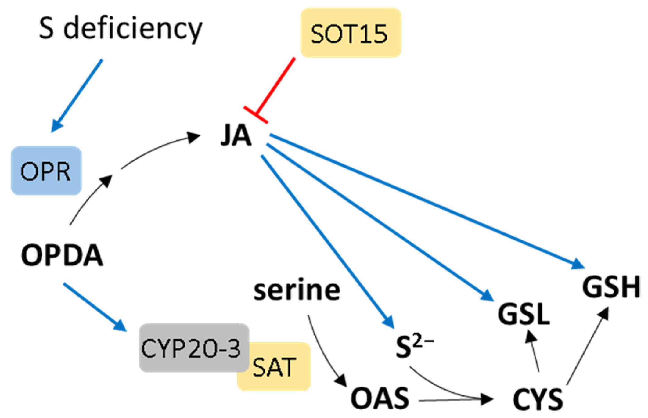Ijms 25 03978 g005 Ijms 25 03978 g005