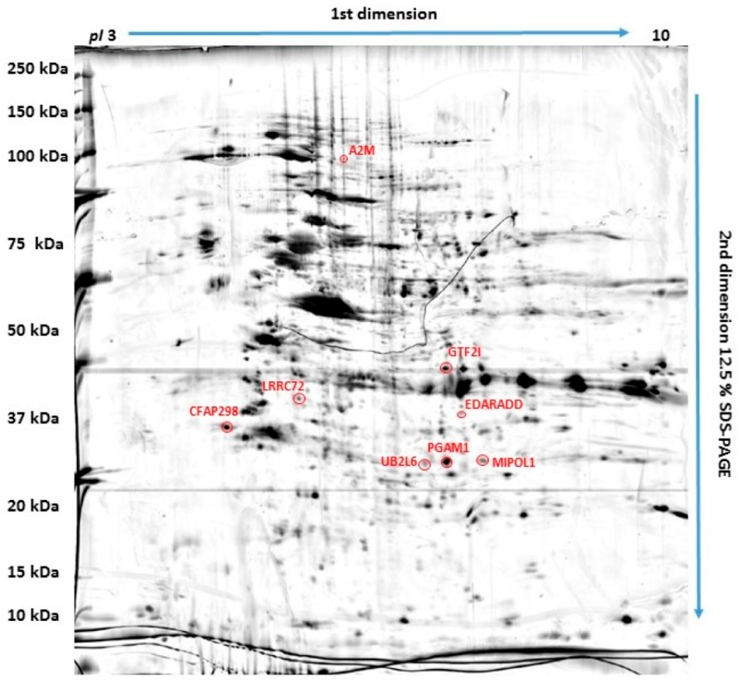 Ijms 25 03989 g001 Ijms 25 03989 g001
