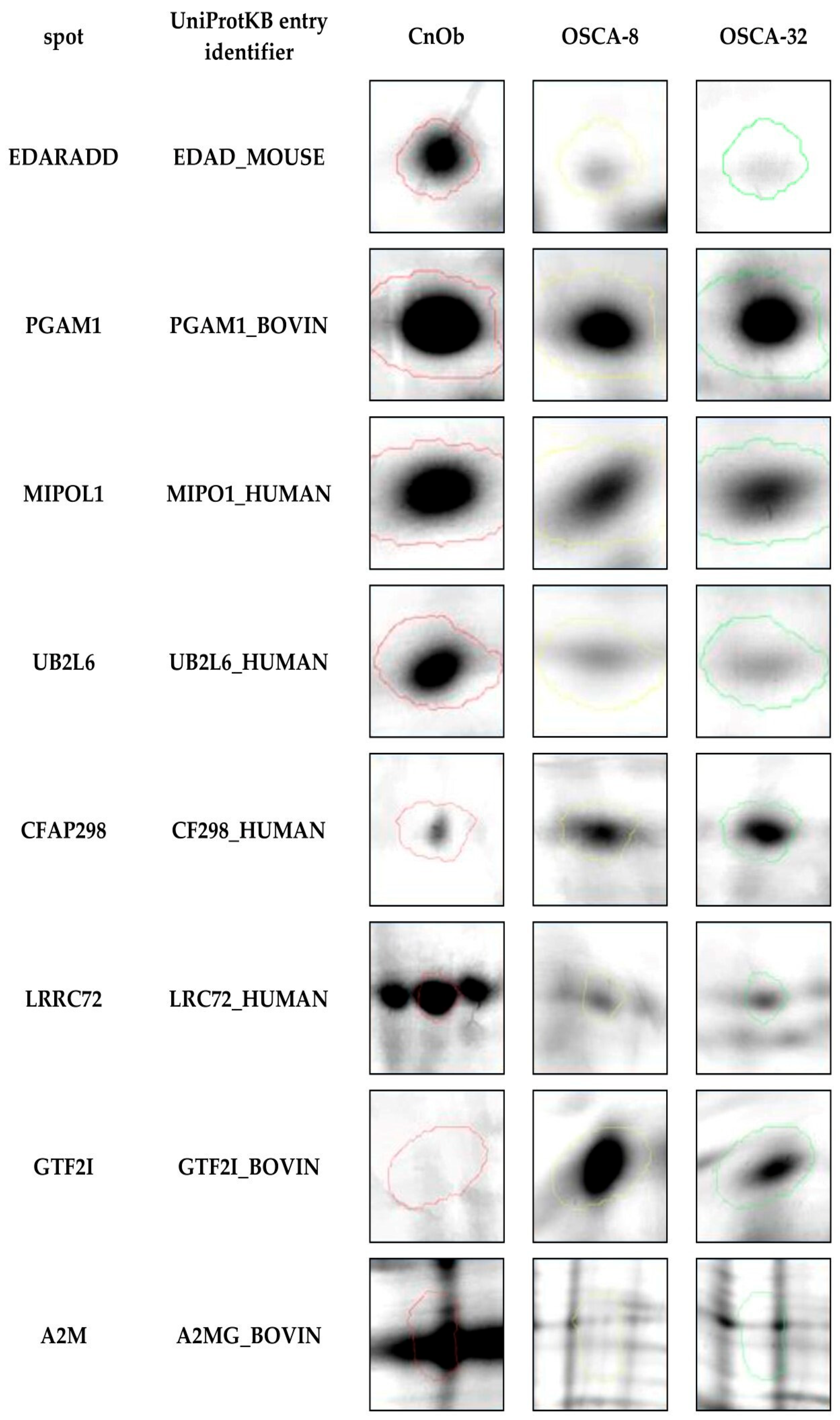 Ijms 25 03989 g002 Ijms 25 03989 g002